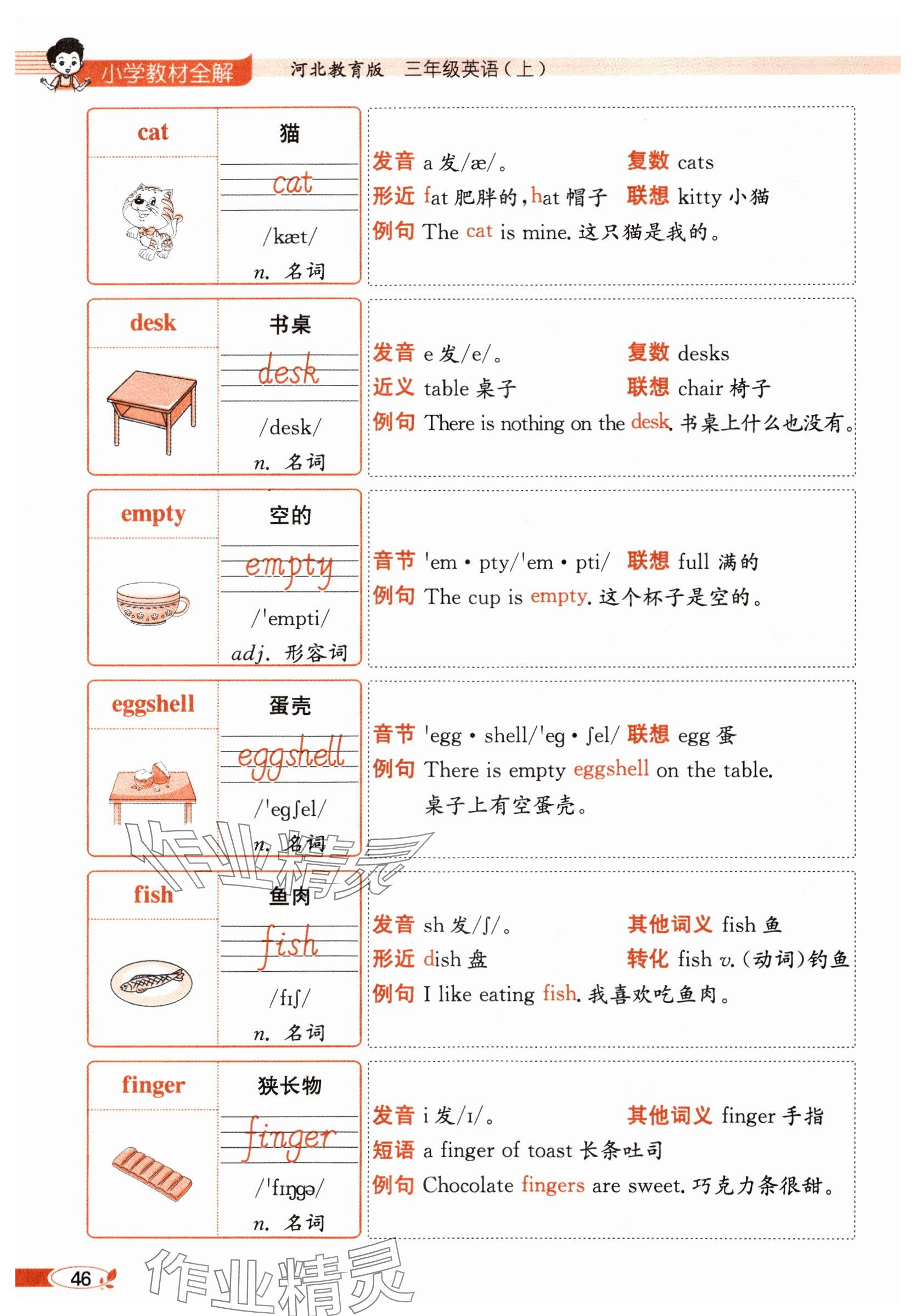 2025年教材课本三年级英语上册冀教版 参考答案第46页