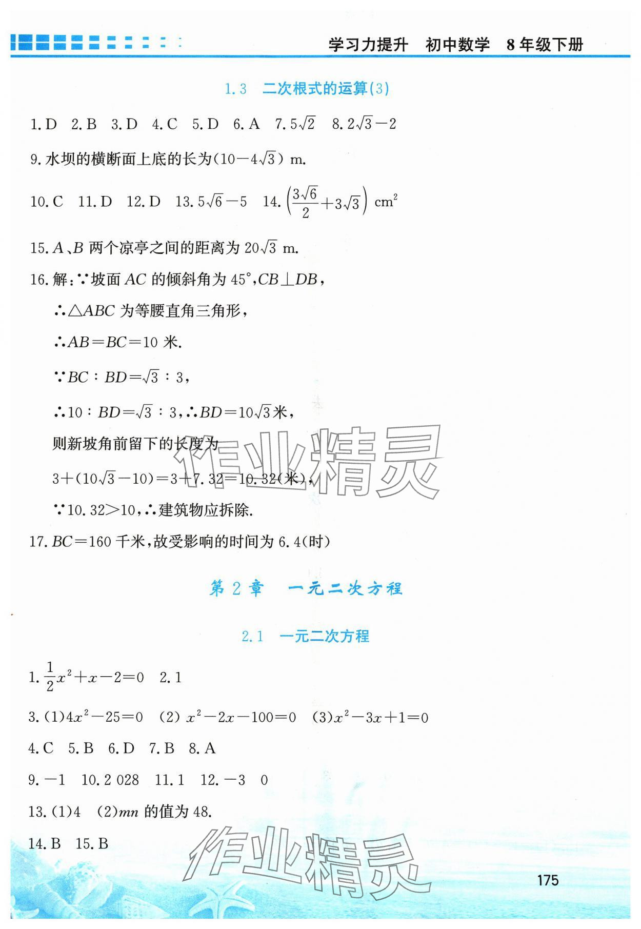 2024年學(xué)習(xí)力提升八年級數(shù)學(xué)下冊浙教版 第3頁