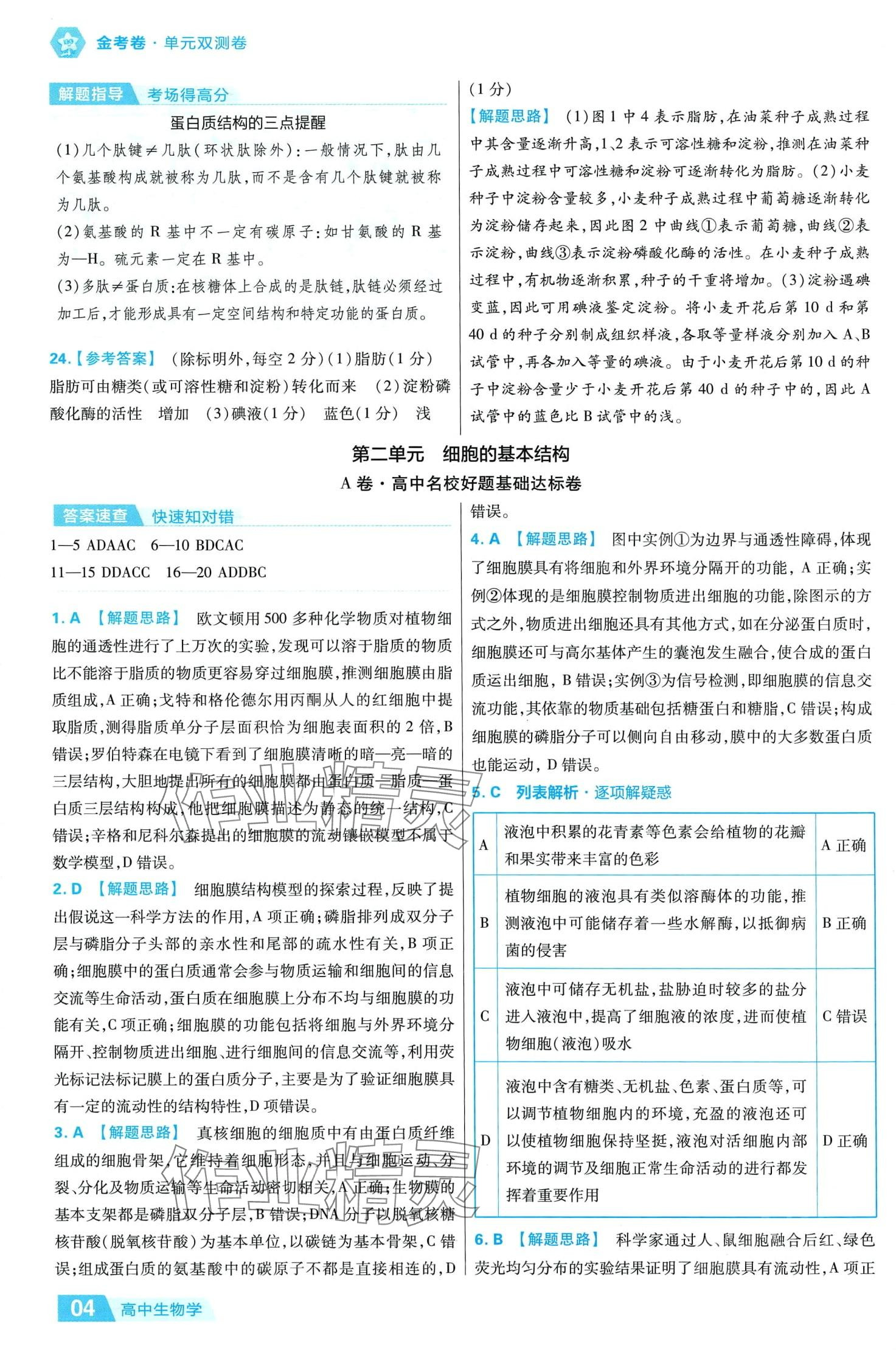 2024年金考卷活頁題選高中生物必修1人教版 參考答案第4頁