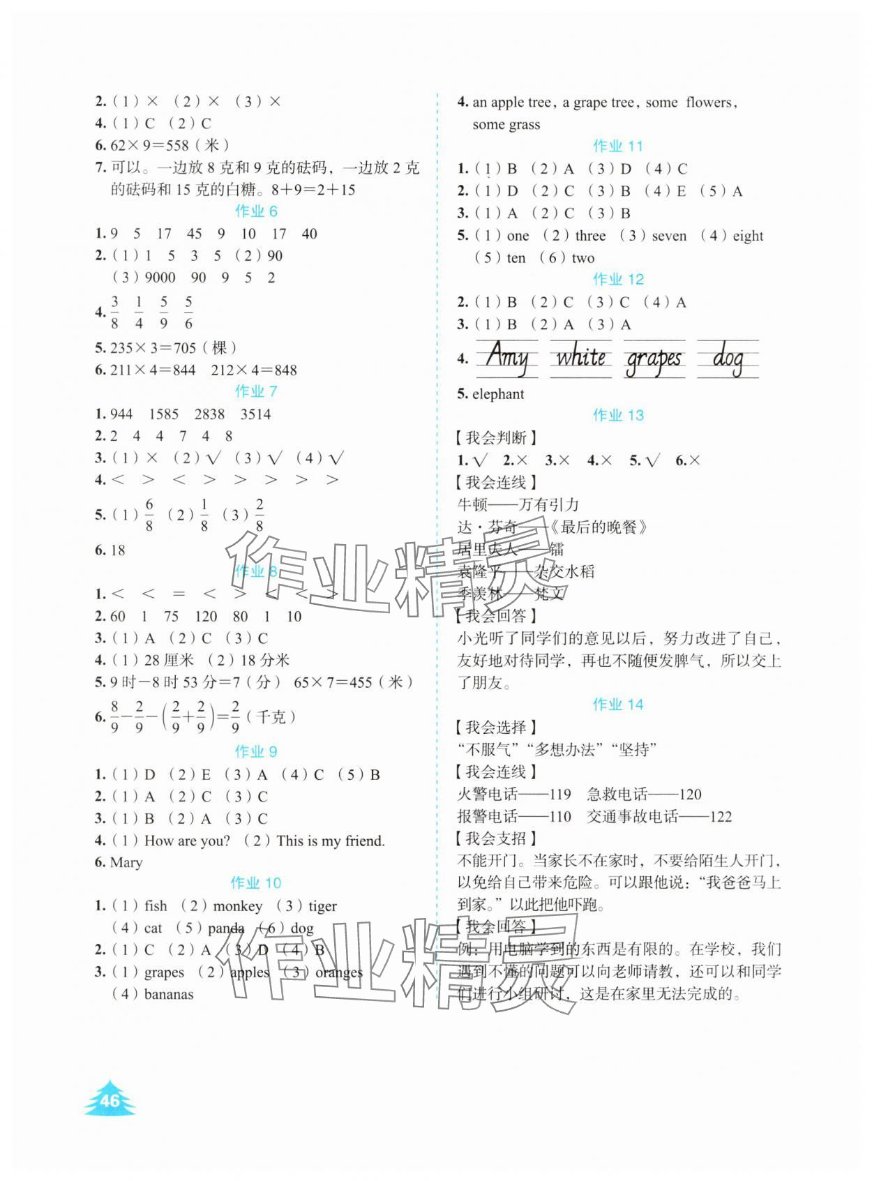 2025年七彩假日快乐假期寒假作业三年级综合人教版 第2页