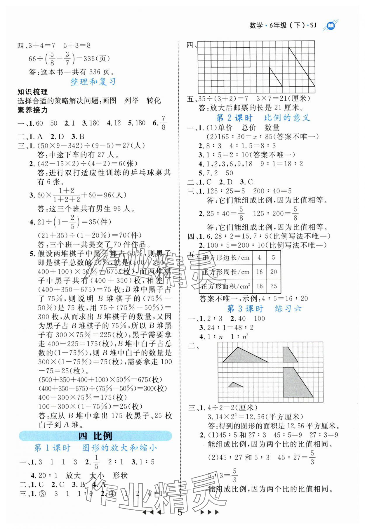 2024年细解巧练六年级数学下册苏教版 参考答案第5页