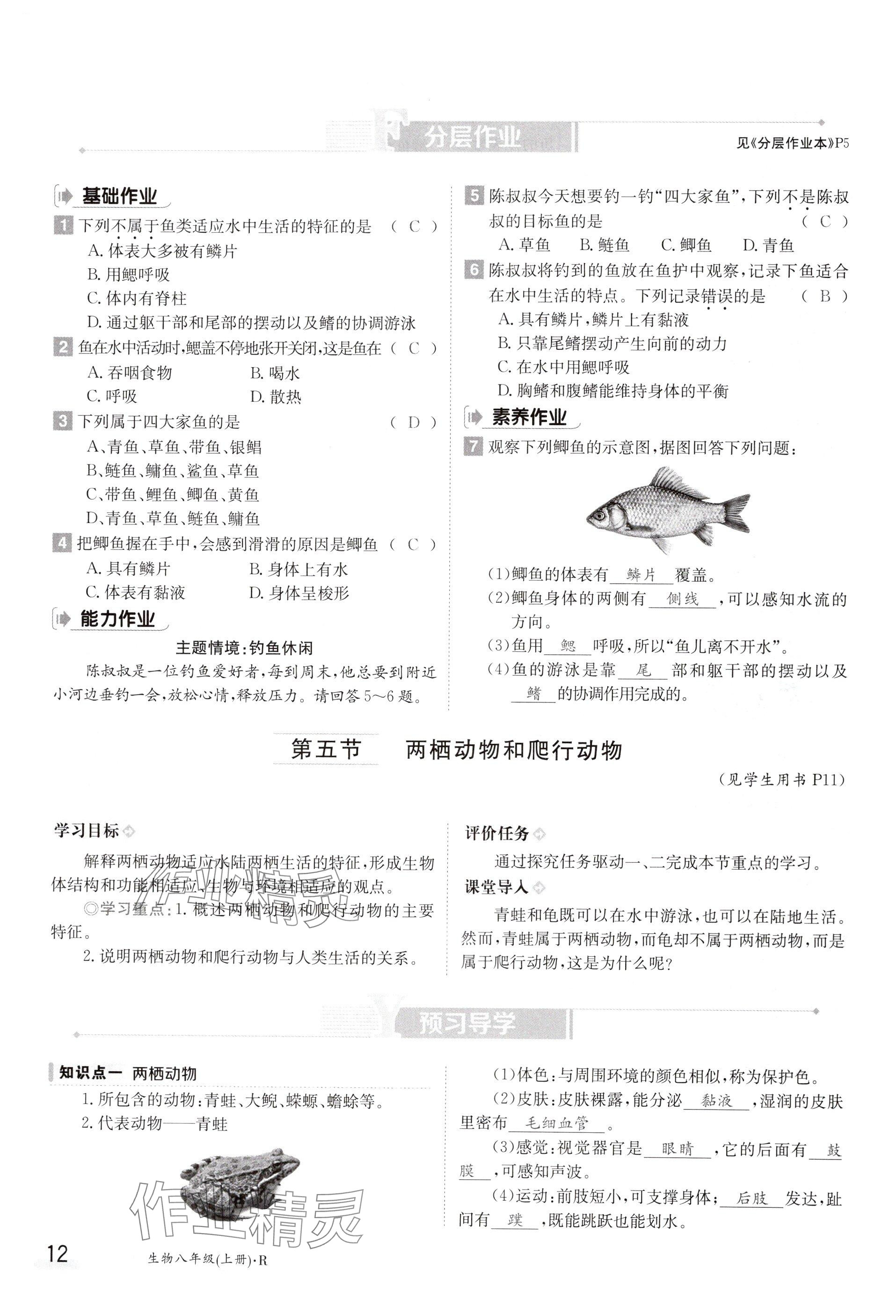 2024年金太阳导学案八年级生物上册人教版 参考答案第12页