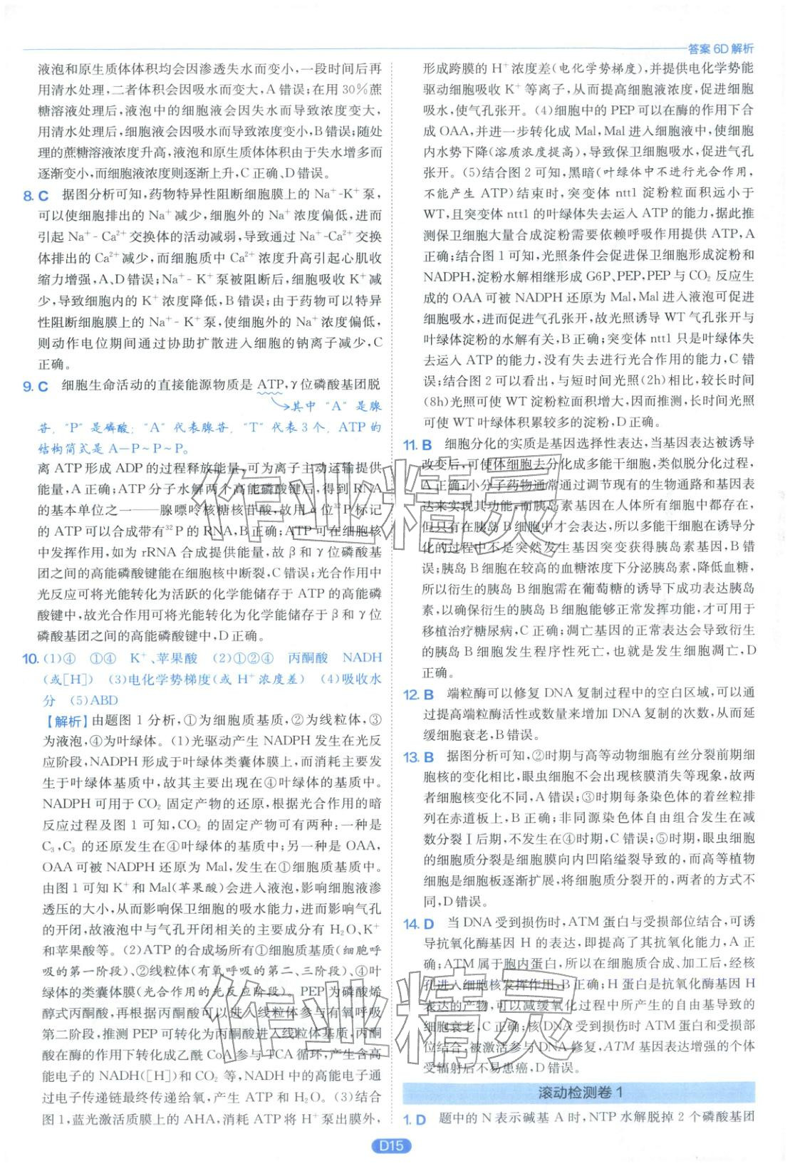 2026年實(shí)驗(yàn)班小題提優(yōu)必刷基礎(chǔ)題生物江蘇專版&nbsp;第15頁(yè)
