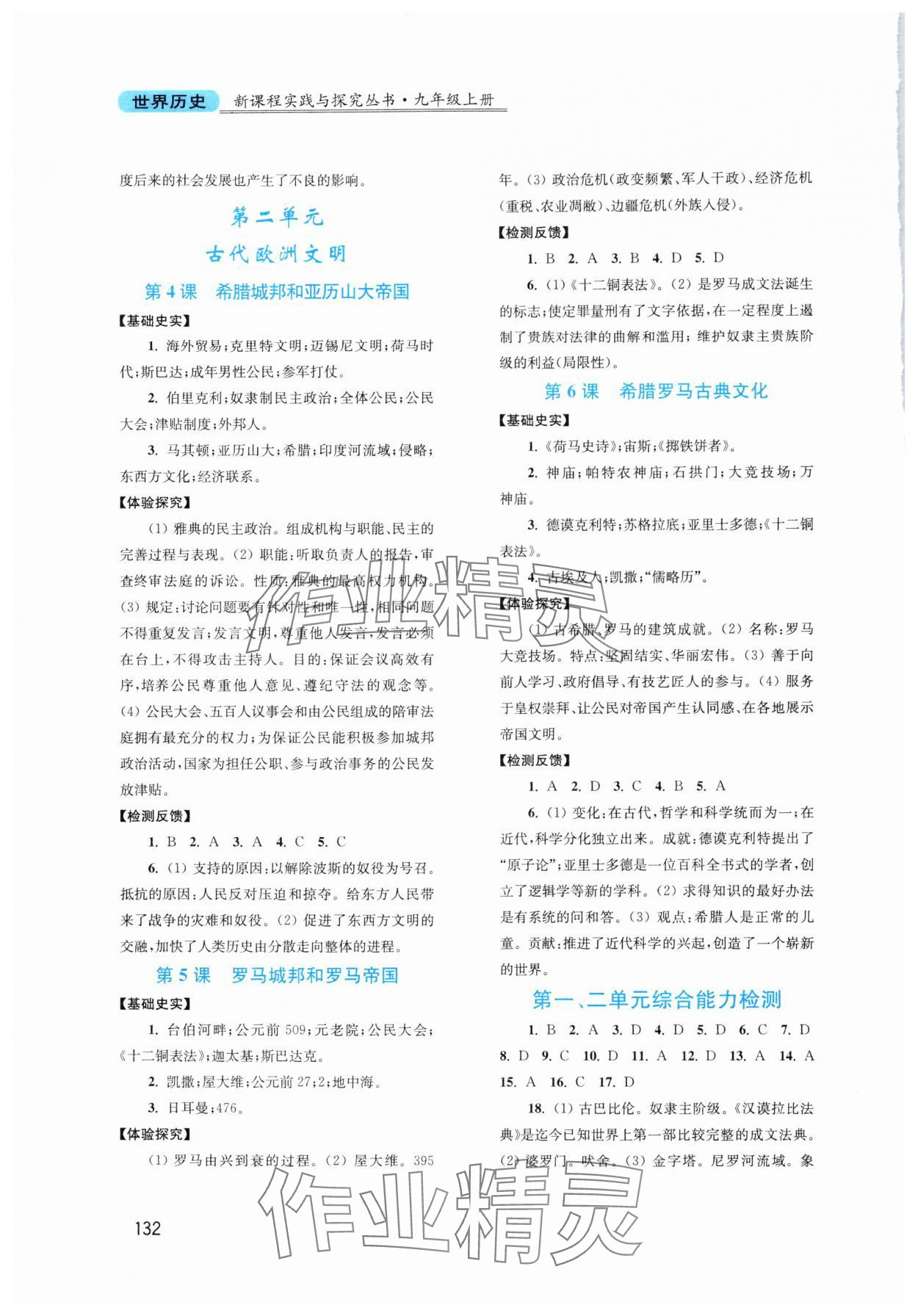 2025年新课程实践与探究丛书九年级历史上册人教版河南专版 第2页