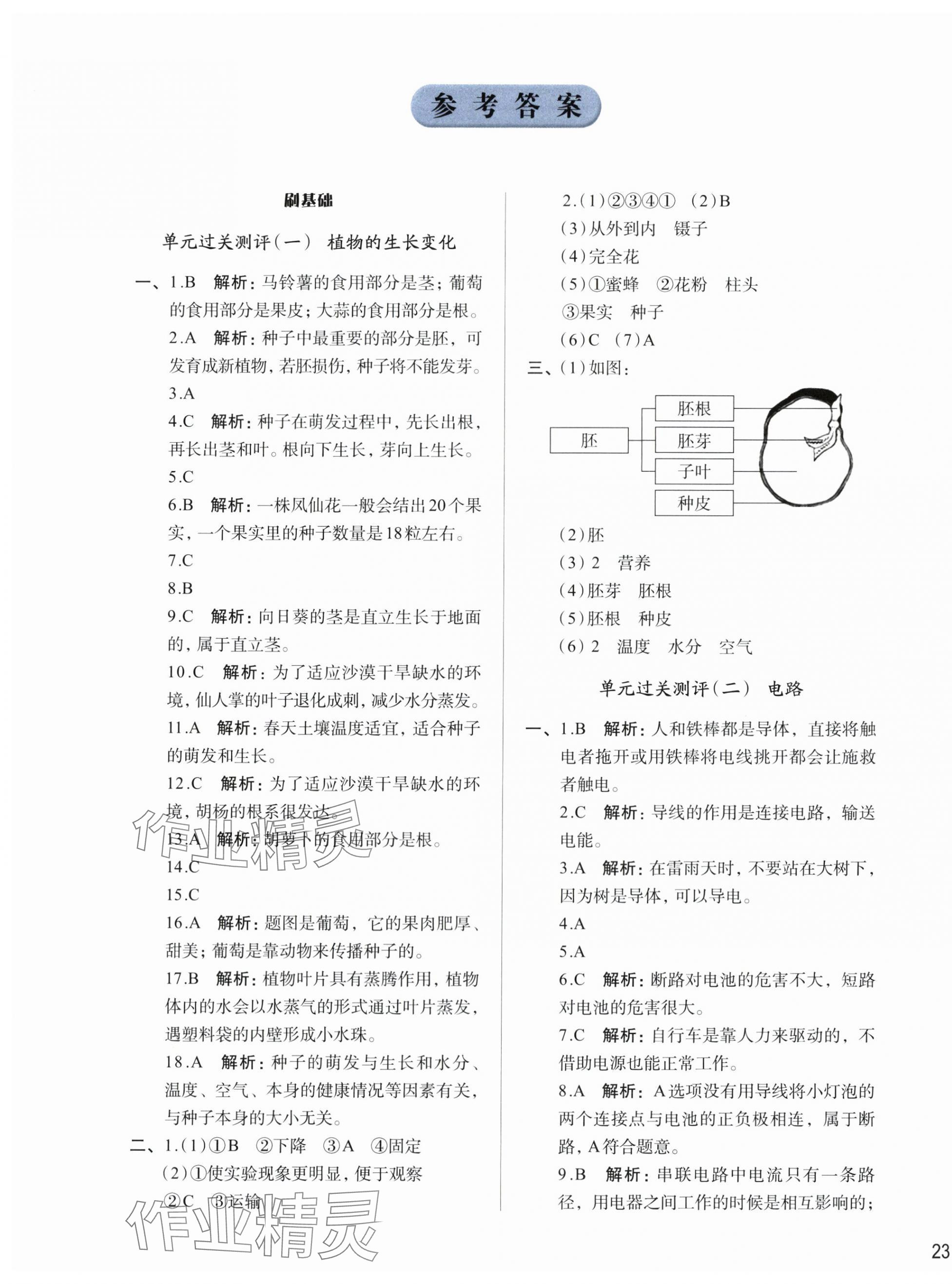 2025年知行合期末必刷題四年級科學下冊教科版 第1頁