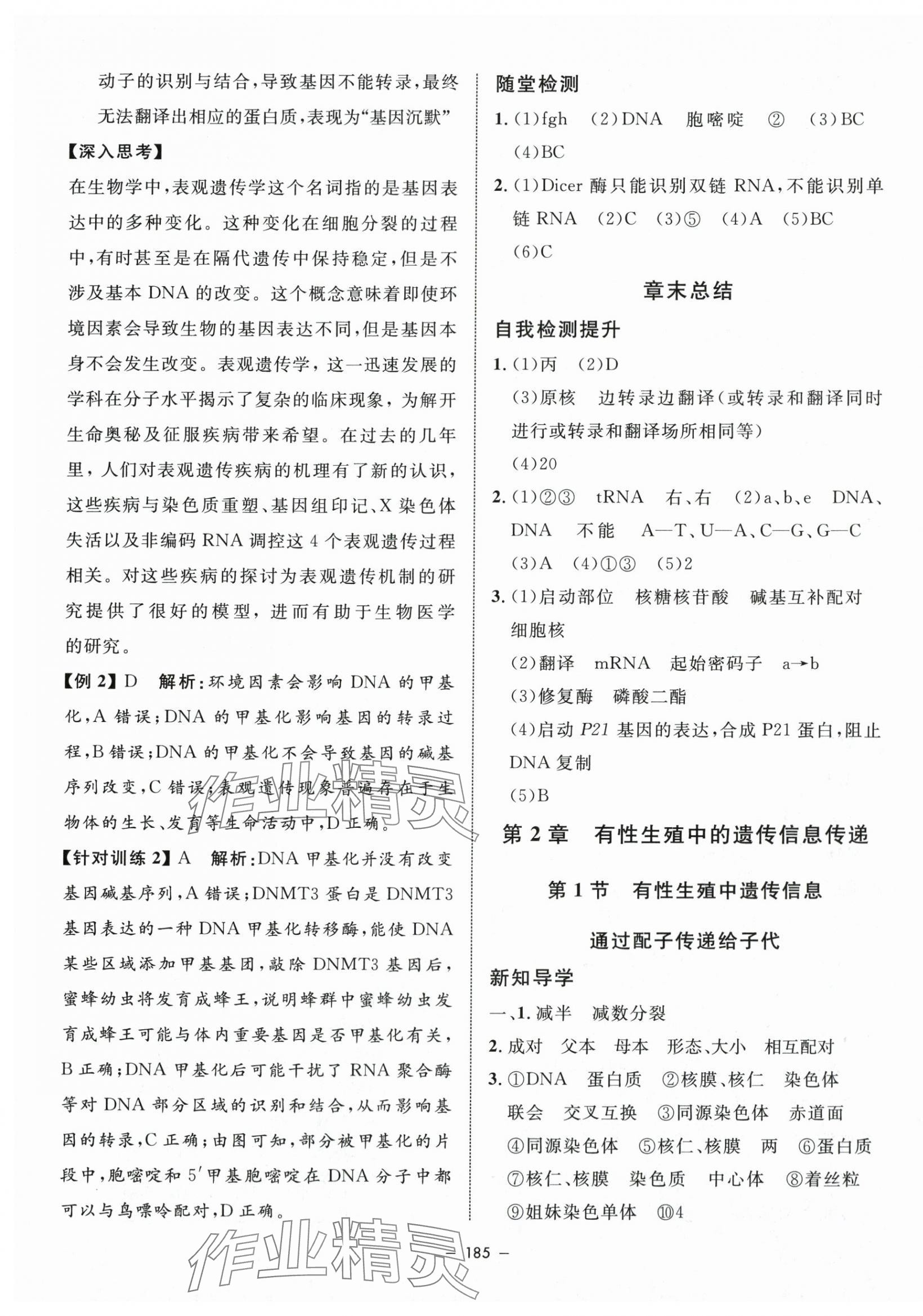 2024年鐘書(shū)金牌金典導(dǎo)學(xué)案高中生物必修2滬教版 第5頁(yè)