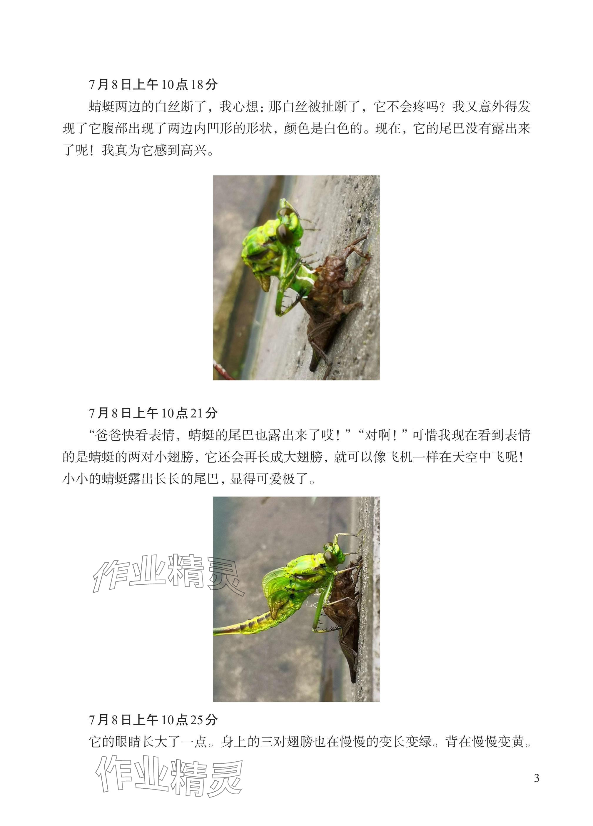 2024年小學(xué)單元素養(yǎng)作業(yè)三年級(jí)科學(xué)上冊教科版 參考答案第5頁