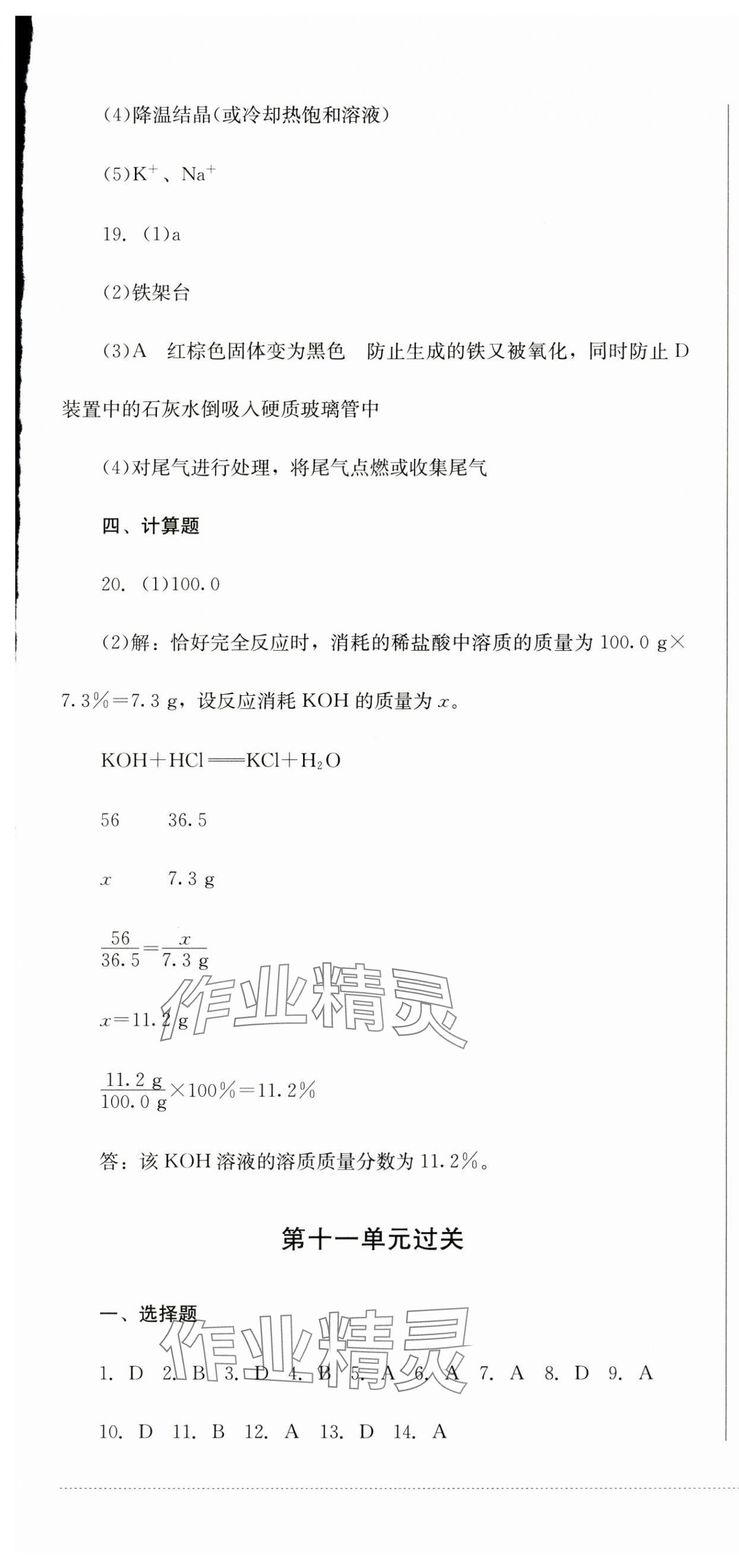 2024年精練過(guò)關(guān)四川教育出版社九年級(jí)化學(xué)下冊(cè)人教版 第7頁(yè)