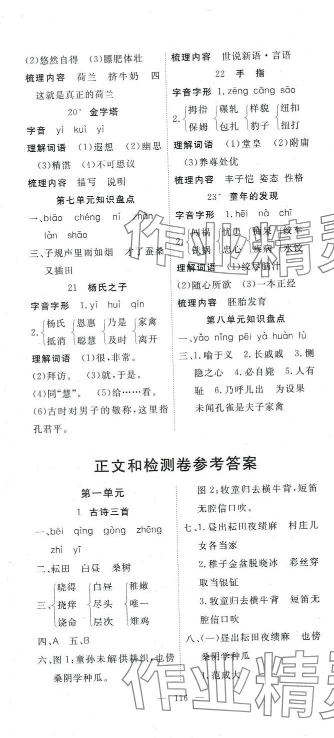 2024年351高效課堂導(dǎo)學(xué)案五年級語文下冊人教版 第7頁