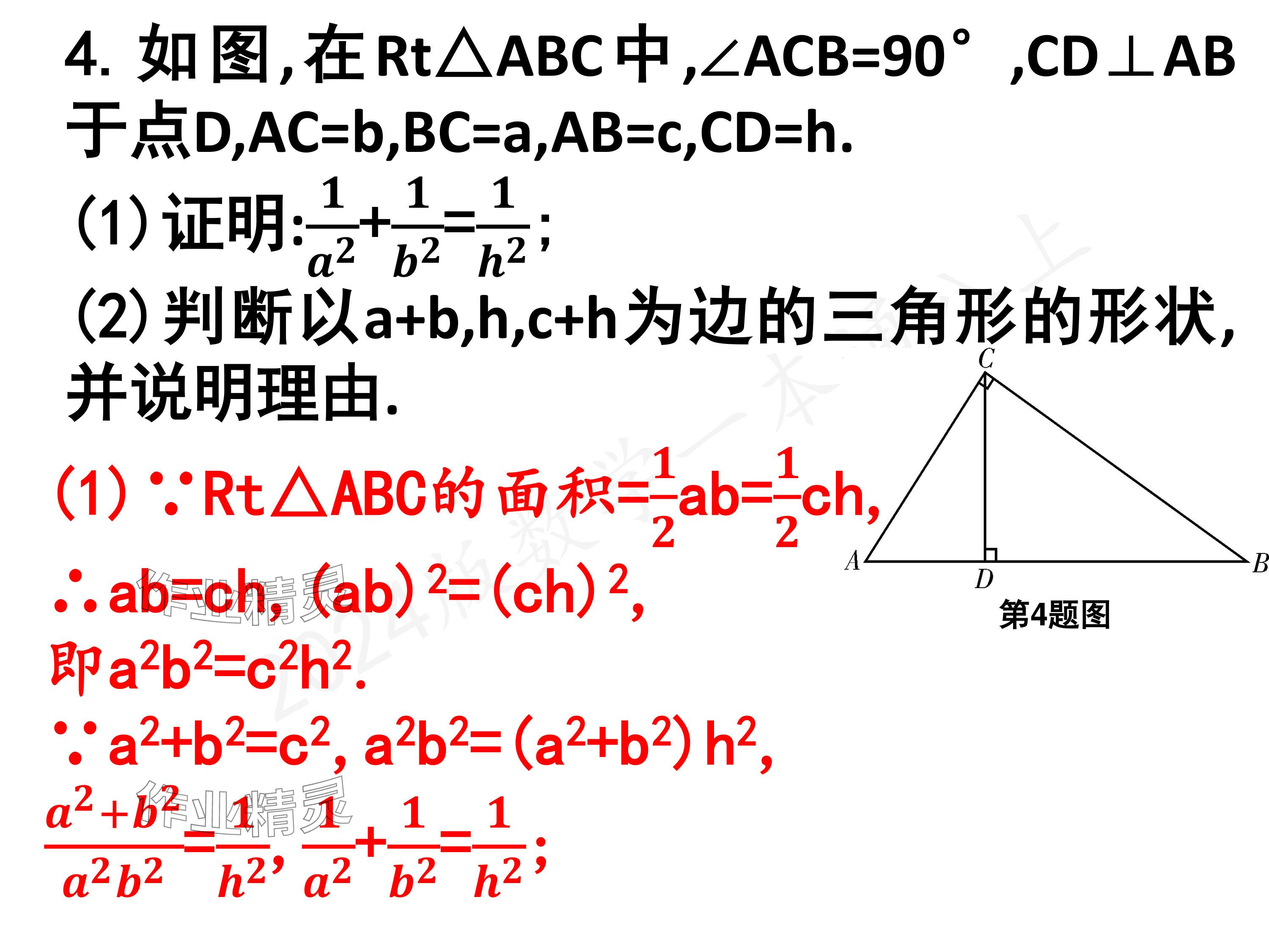 2024年一本通武漢出版社八年級(jí)數(shù)學(xué)上冊(cè)北師大版核心板 參考答案第47頁(yè)