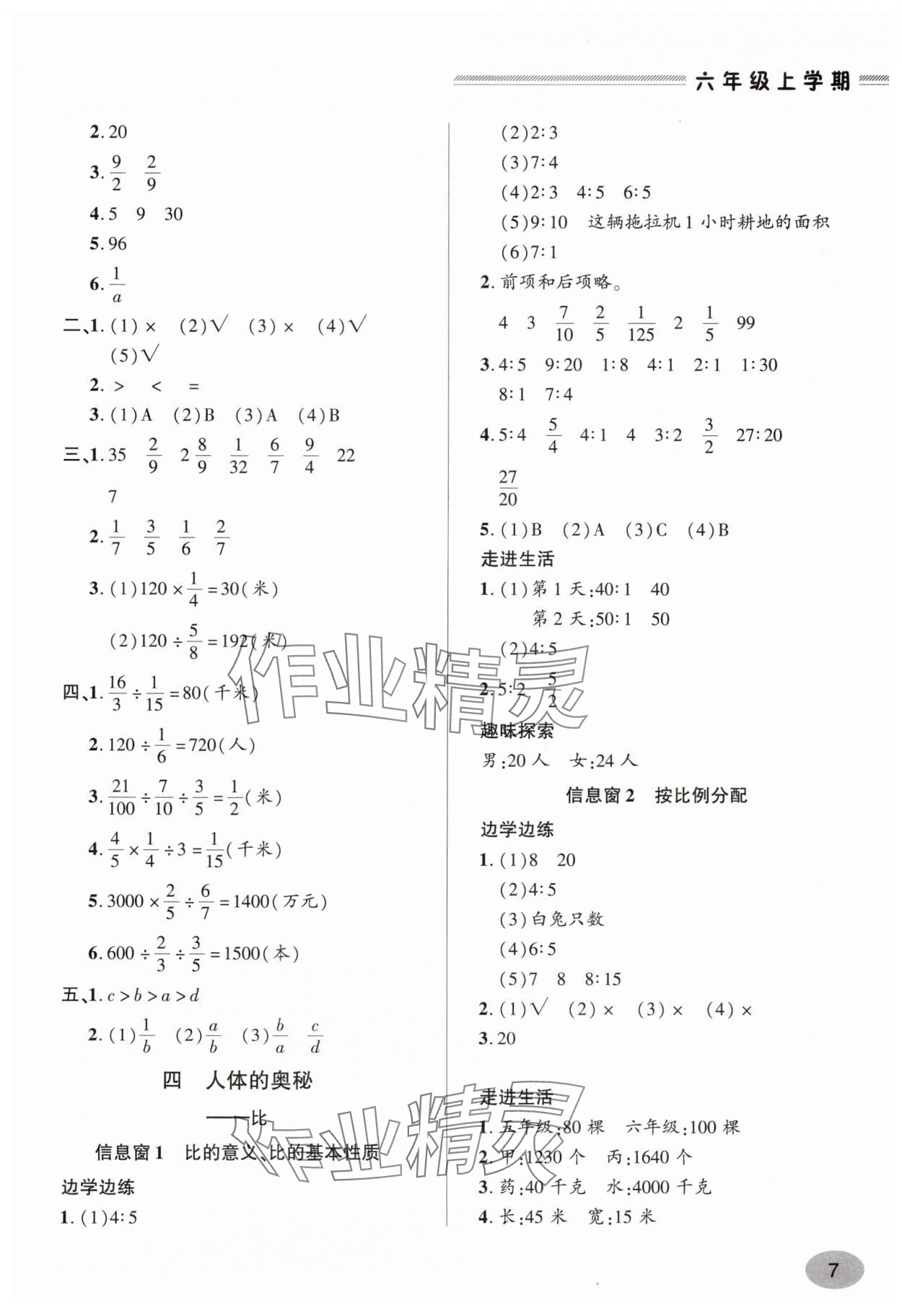 2024年單元強化學習與探究六年級數(shù)學上冊青島版&nbsp;參考答案第7頁