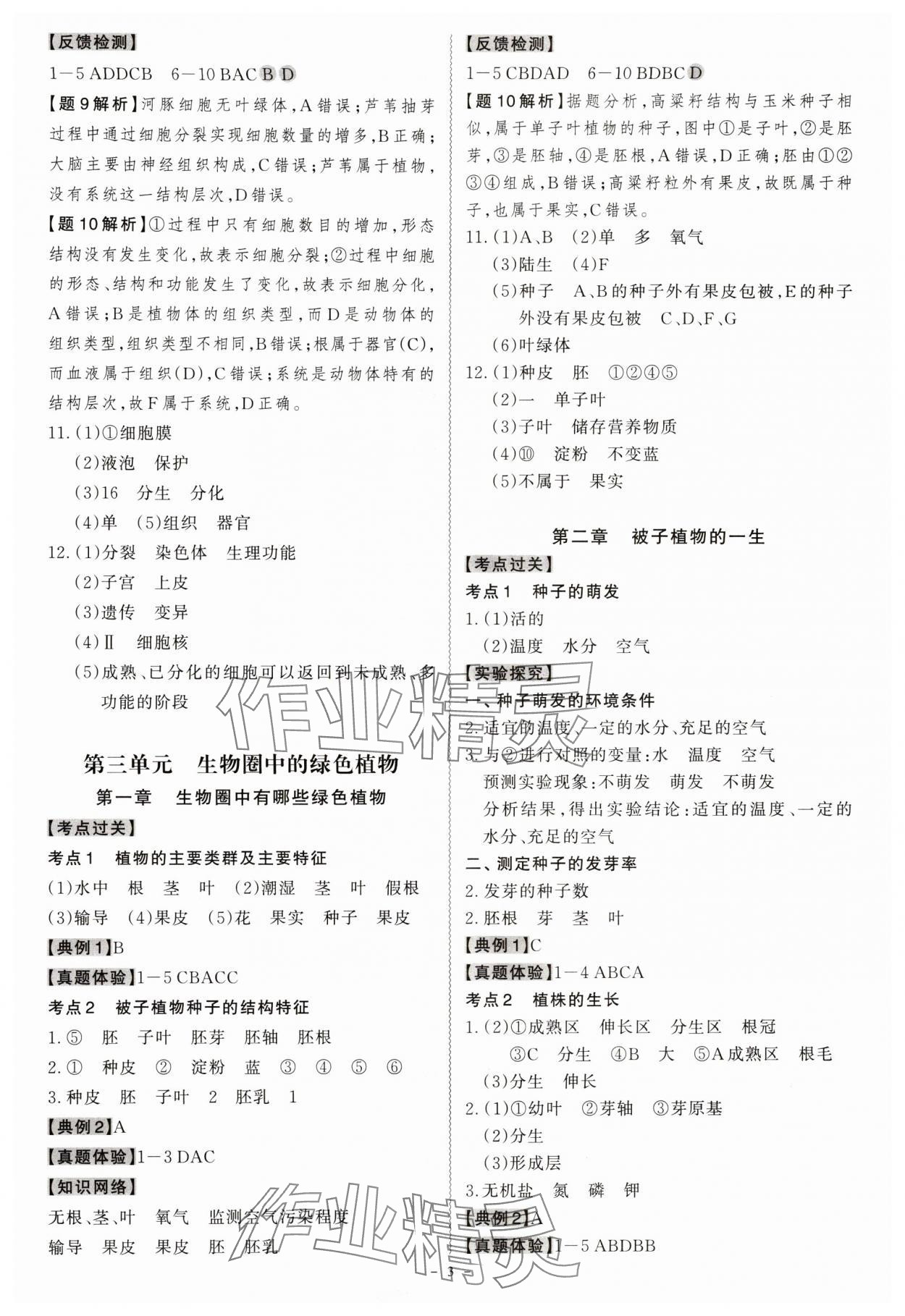 2024年名师中考生物广东专用&nbsp;第3页