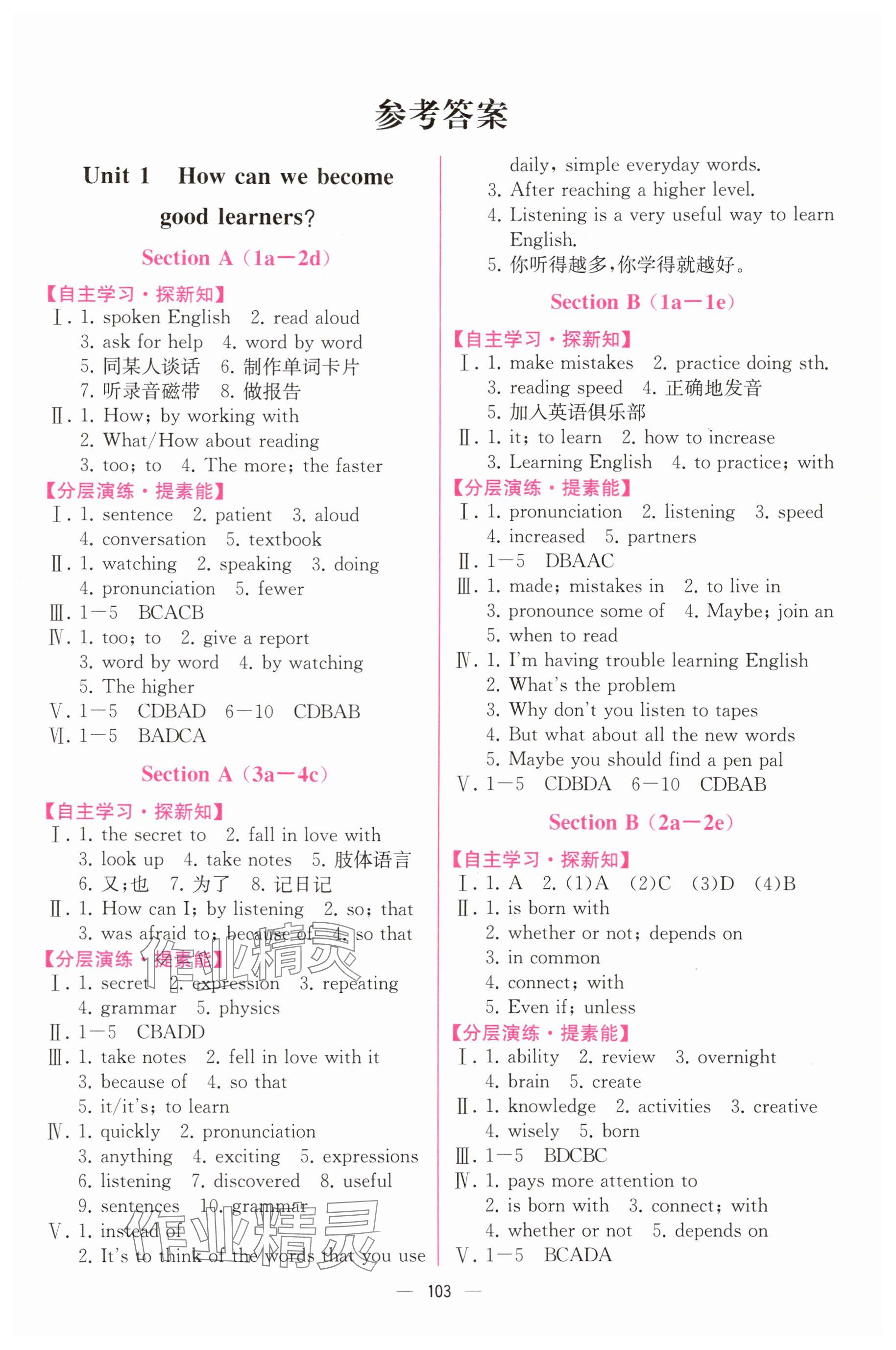 2025年同步导学案课时练九年级英语全一册人教版河南专版 参考答案第1页
