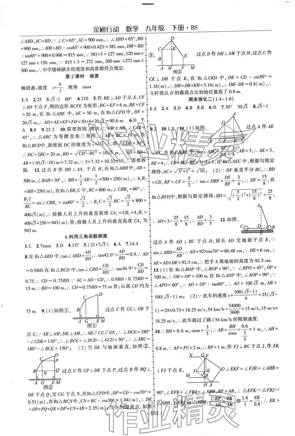 2024年金榜行动九年级数学下册北师大版 第3页