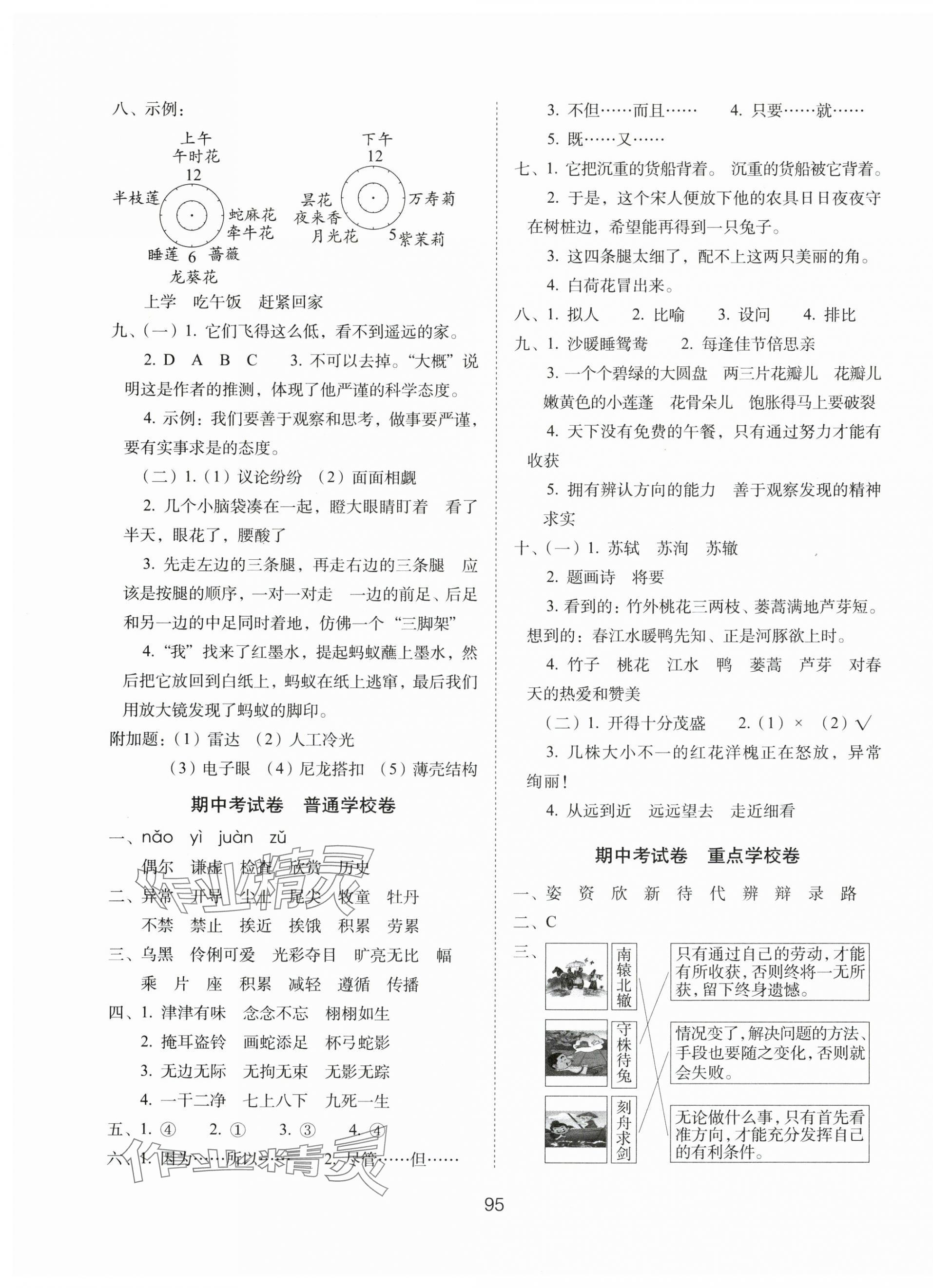 2025年期末冲刺100分完全试卷三年级语文下册人教版 第3页