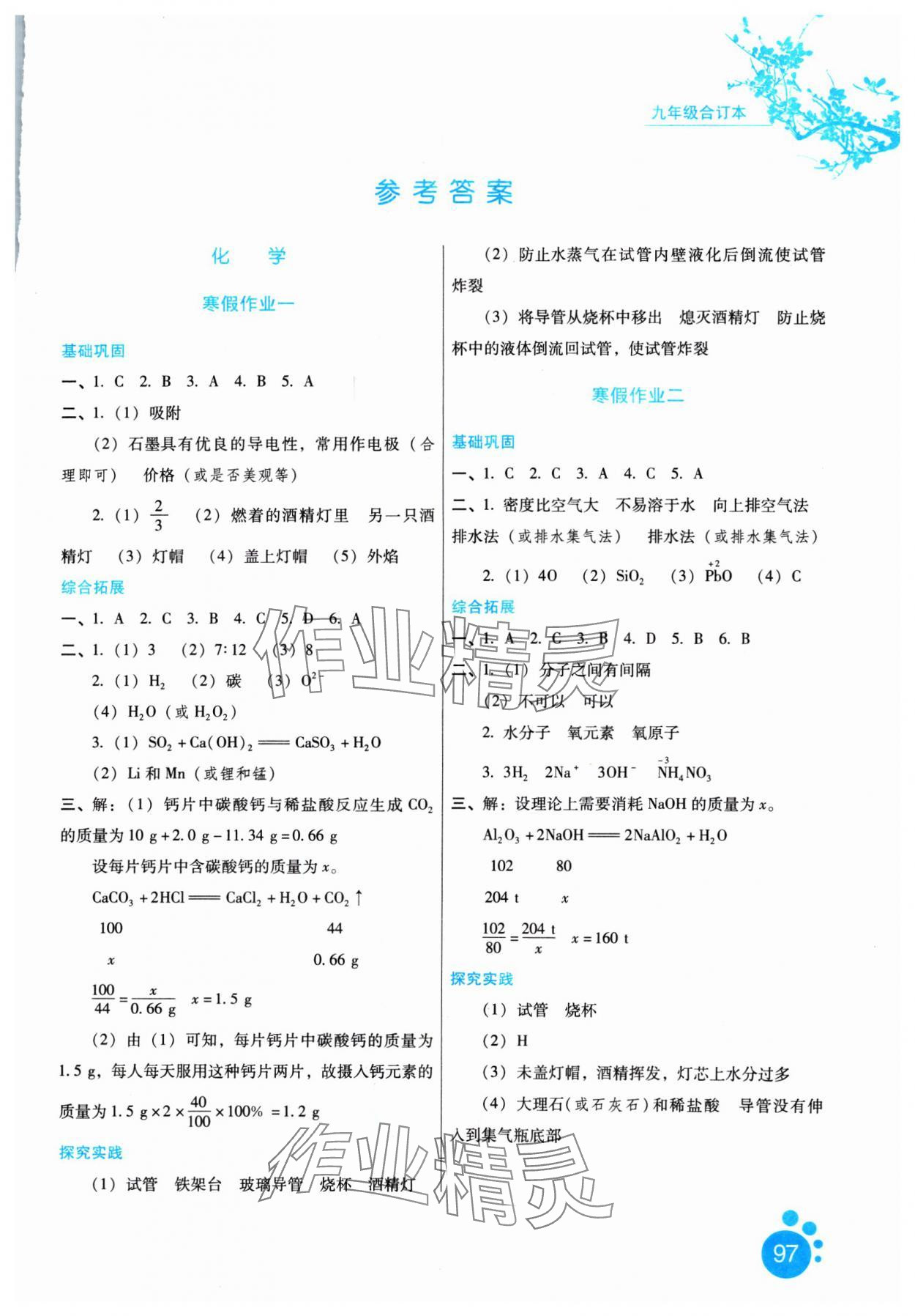 2025年寒假生活河北少年兒童出版社九年級合訂本 參考答案第1頁