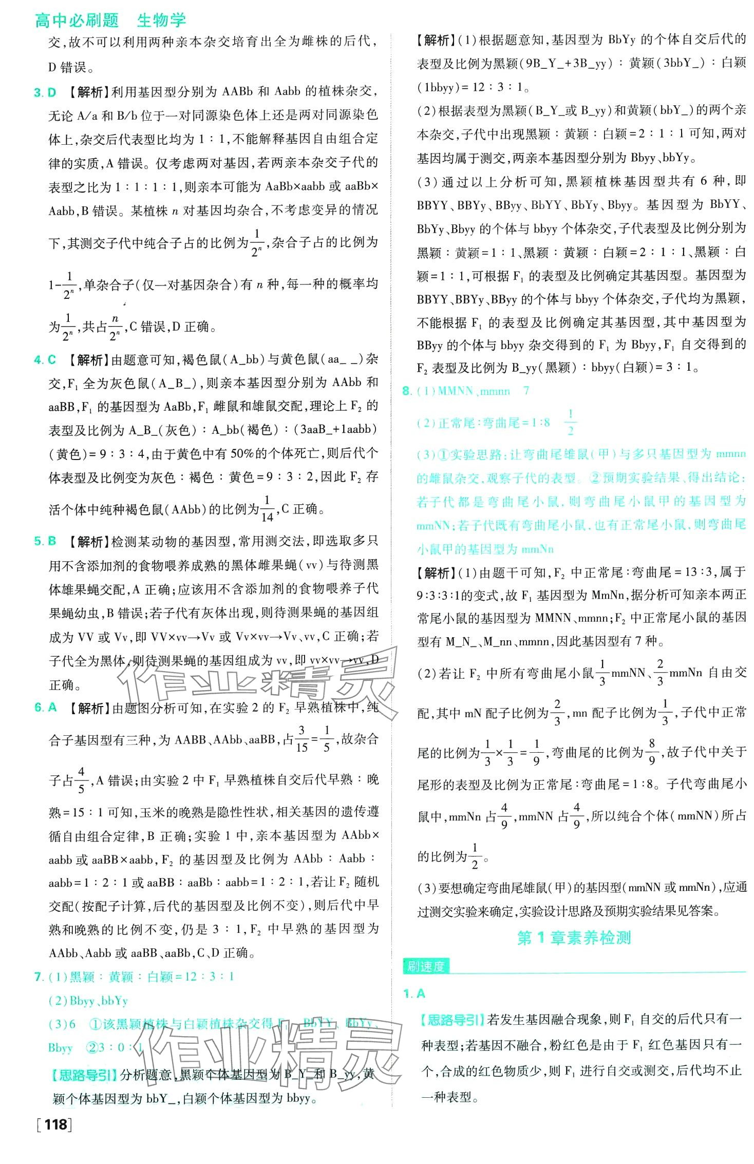 2024年高中必刷題高中生物必修2人教版 第13頁