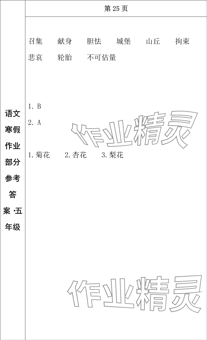 2024年寒假作業(yè)長春出版社五年級語文 參考答案第13頁