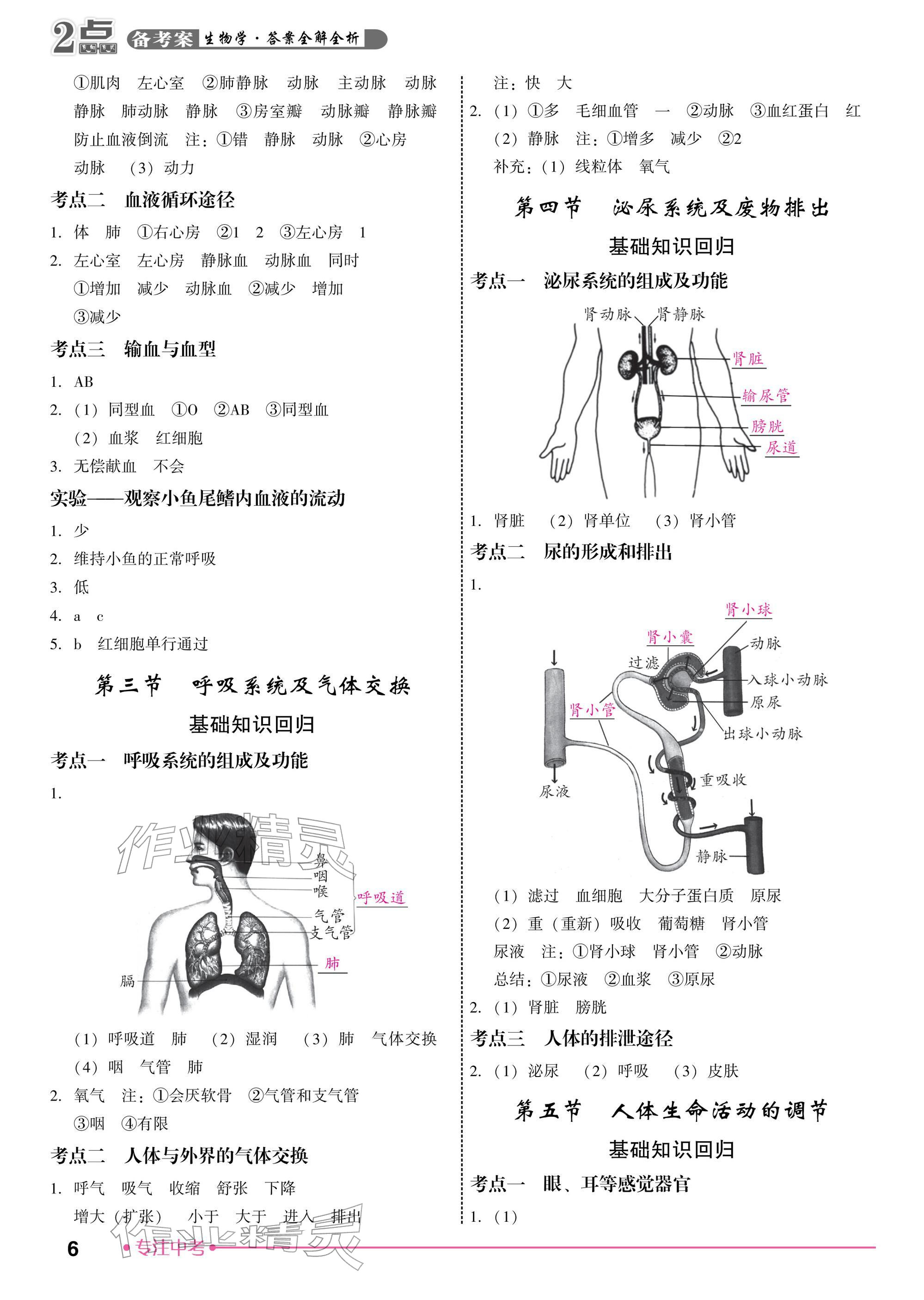 2026年2点备考案生物中考&nbsp;参考答案第6页