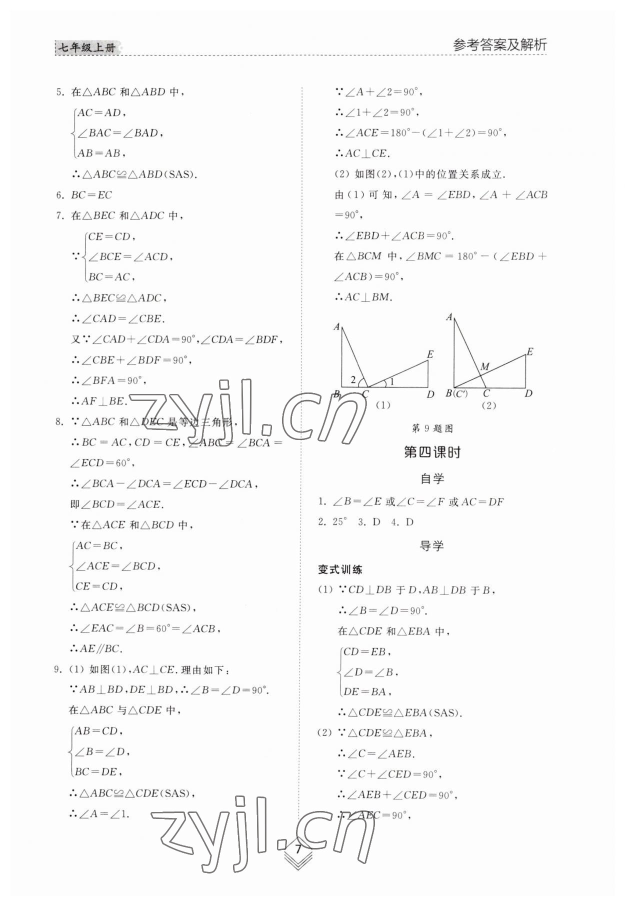 2023年综合能力训练七年级数学上册鲁教版54制 参考答案第6页