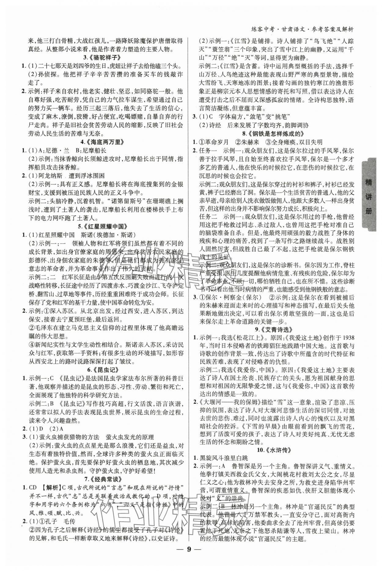 2024年練客中考提優(yōu)方案語文甘肅專版 參考答案第8頁