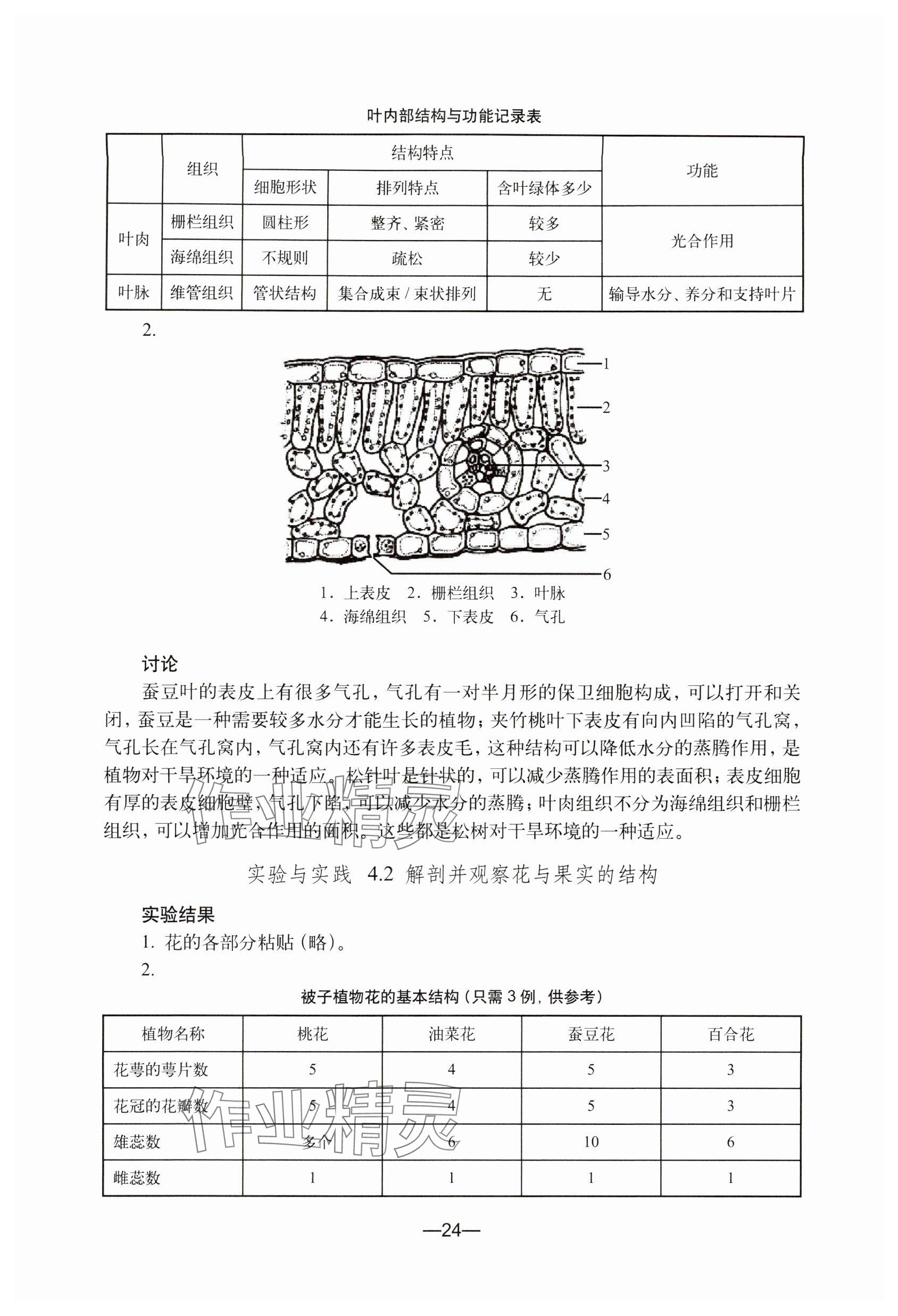 2024年練習部分生命科學初中第二冊 參考答案第4頁