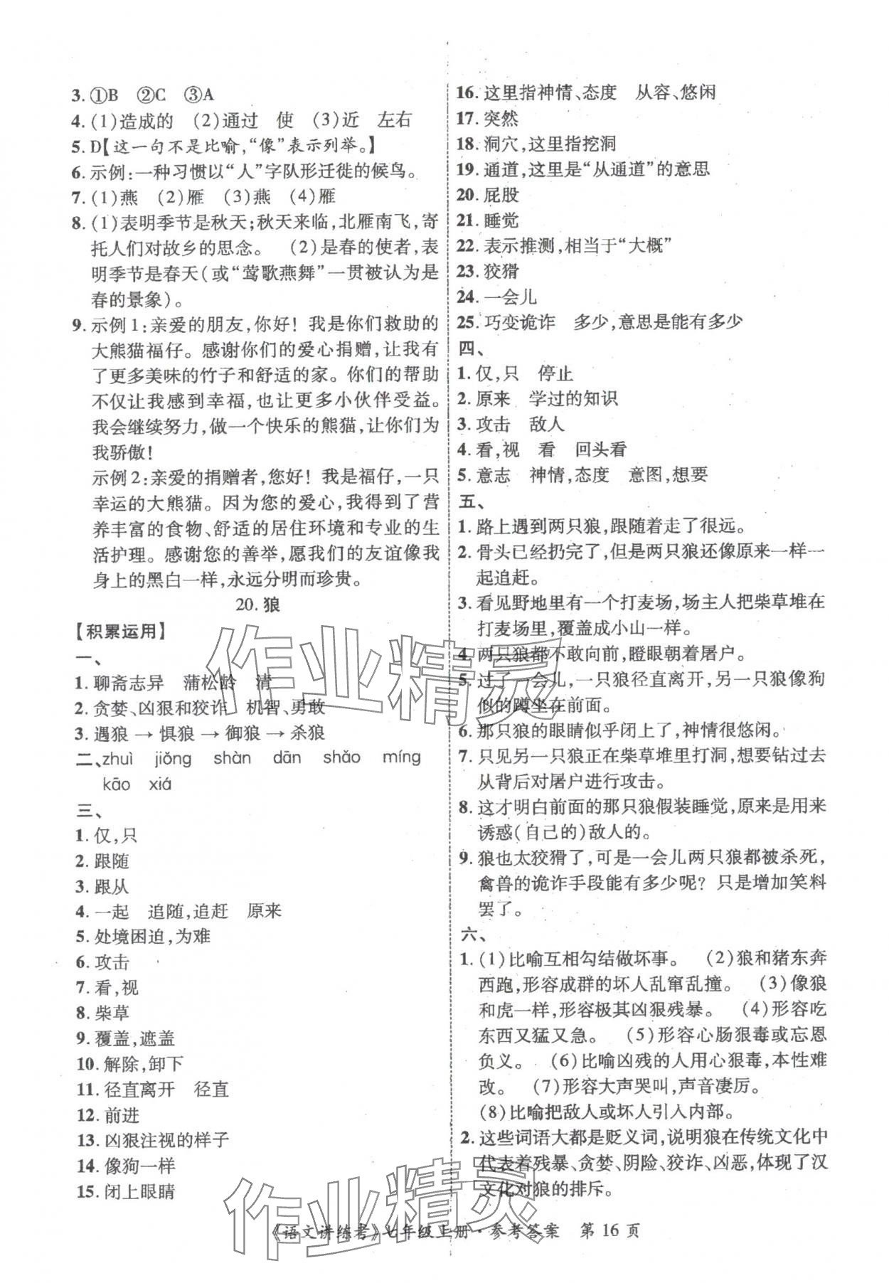 2025年语文讲练考七年级上册人教版 第16页