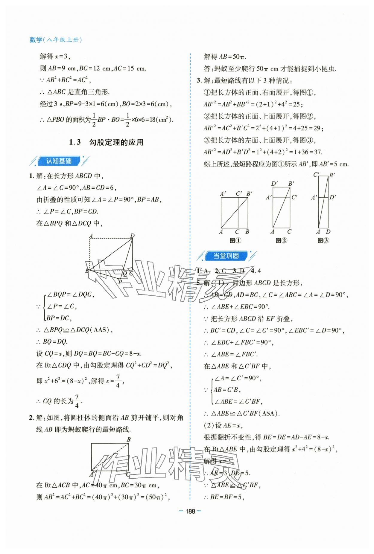 2025年新课堂学习与探究八年级数学上册北师大版 参考答案第4页