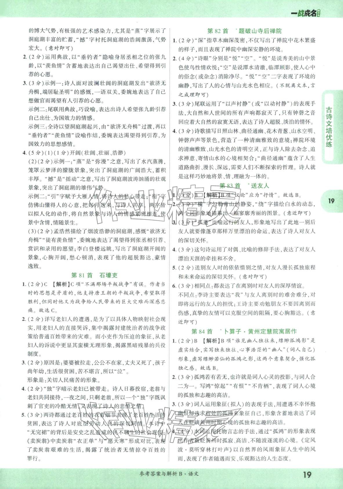 2026年纯练版总复习九年级语文全一册人教版&nbsp;第19页