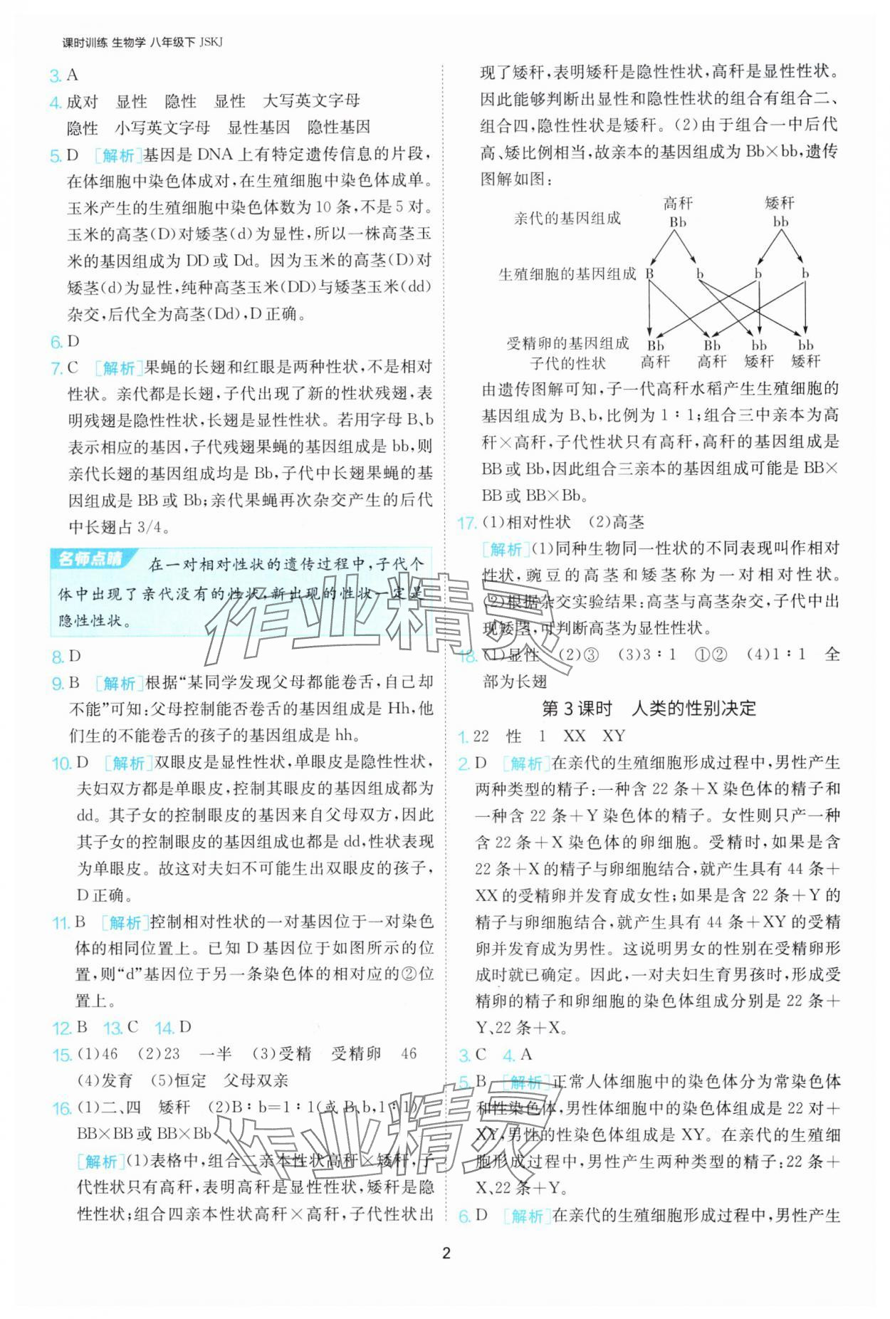 2025年课时训练江苏人民出版社八年级生物下册苏科版 第2页