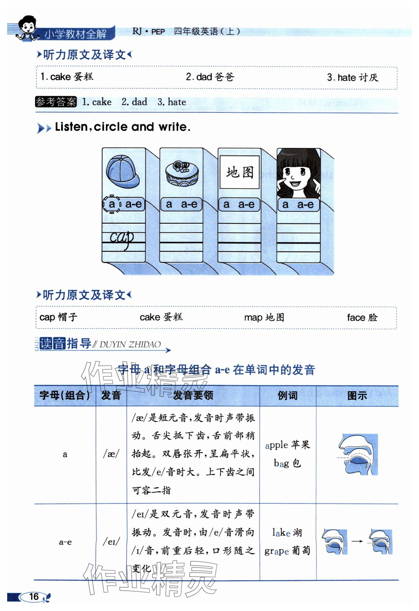 2024年教材課本四年級英語上冊人教版 參考答案第16頁