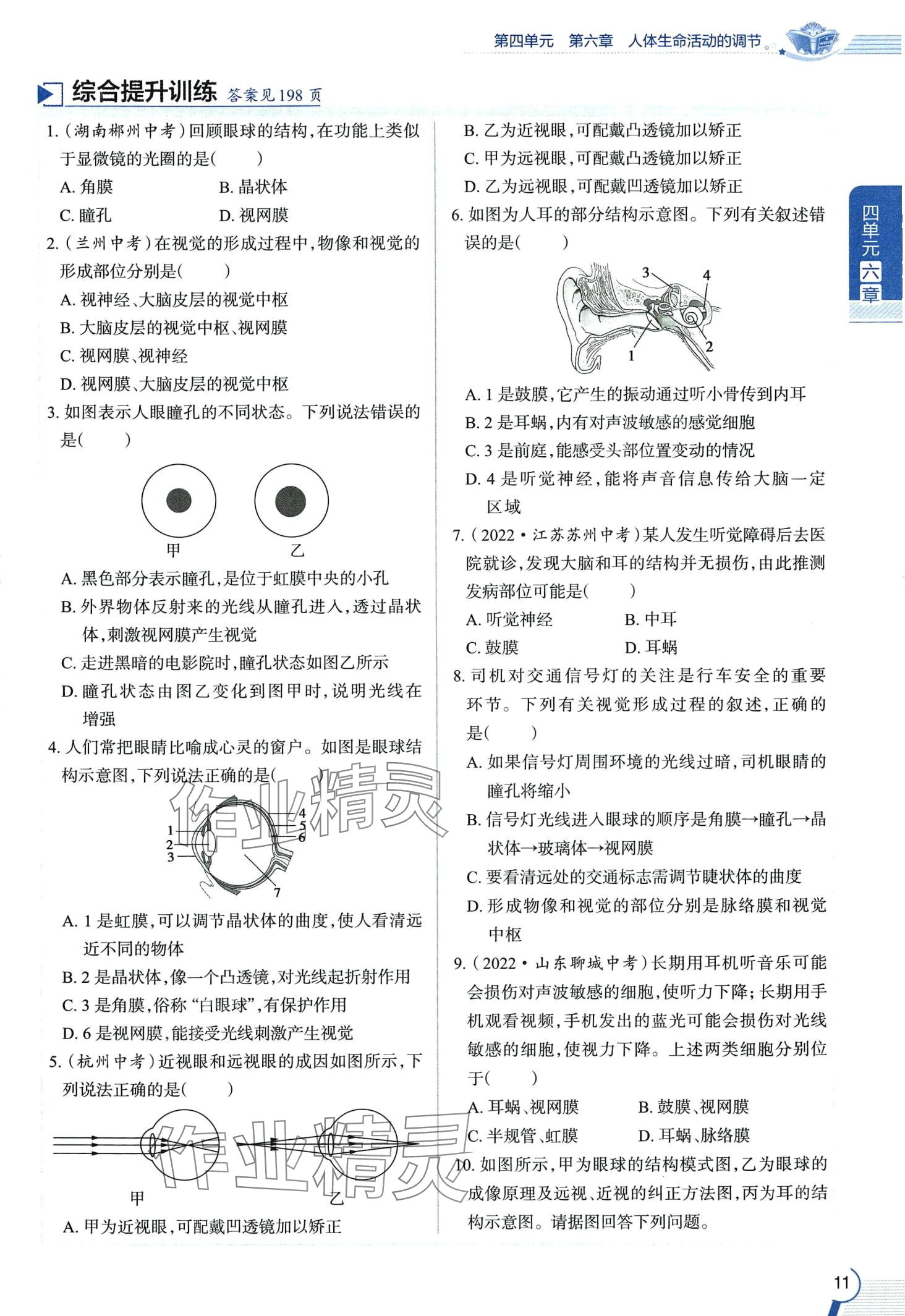 2024年教材课本七年级生物下册鲁科版&nbsp;第11页