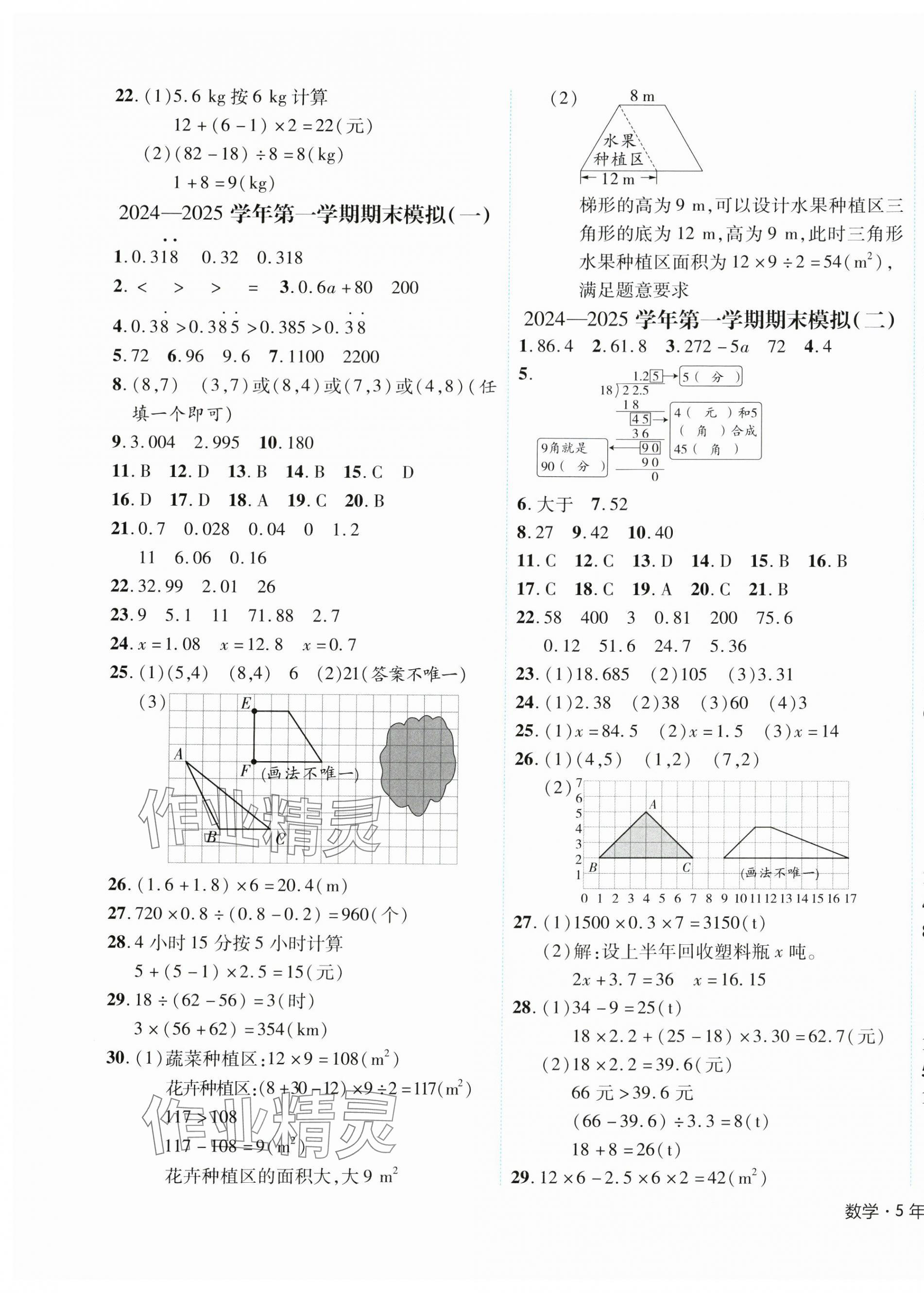 2024年期末真題新卷五年級(jí)數(shù)學(xué)上冊(cè)人教版浙江專版 參考答案第5頁(yè)