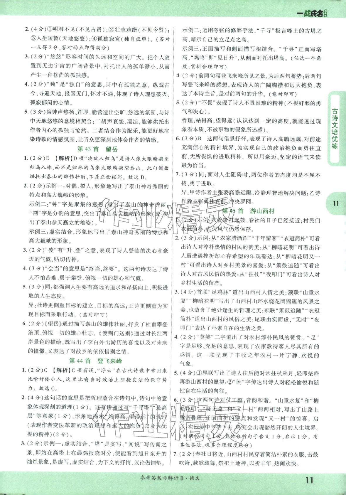 2026年纯练版总复习九年级语文全一册人教版&nbsp;第11页