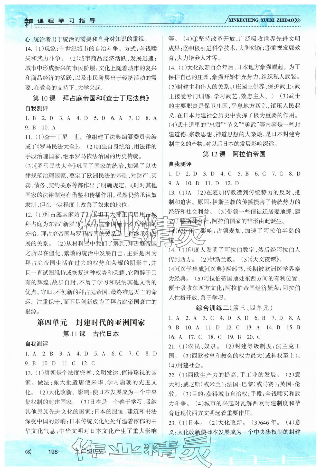 2025年新课程学习指导南方出版社九年级历史人教版 参考答案第3页