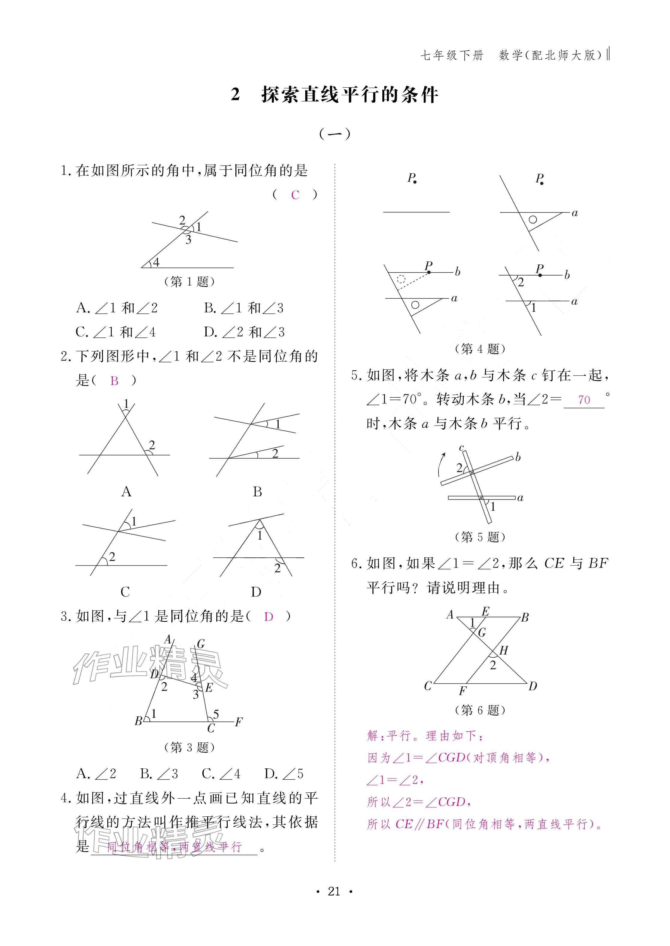 2026年作业本江西教育出版社七年级数学下册北师大版&nbsp;参考答案第21页