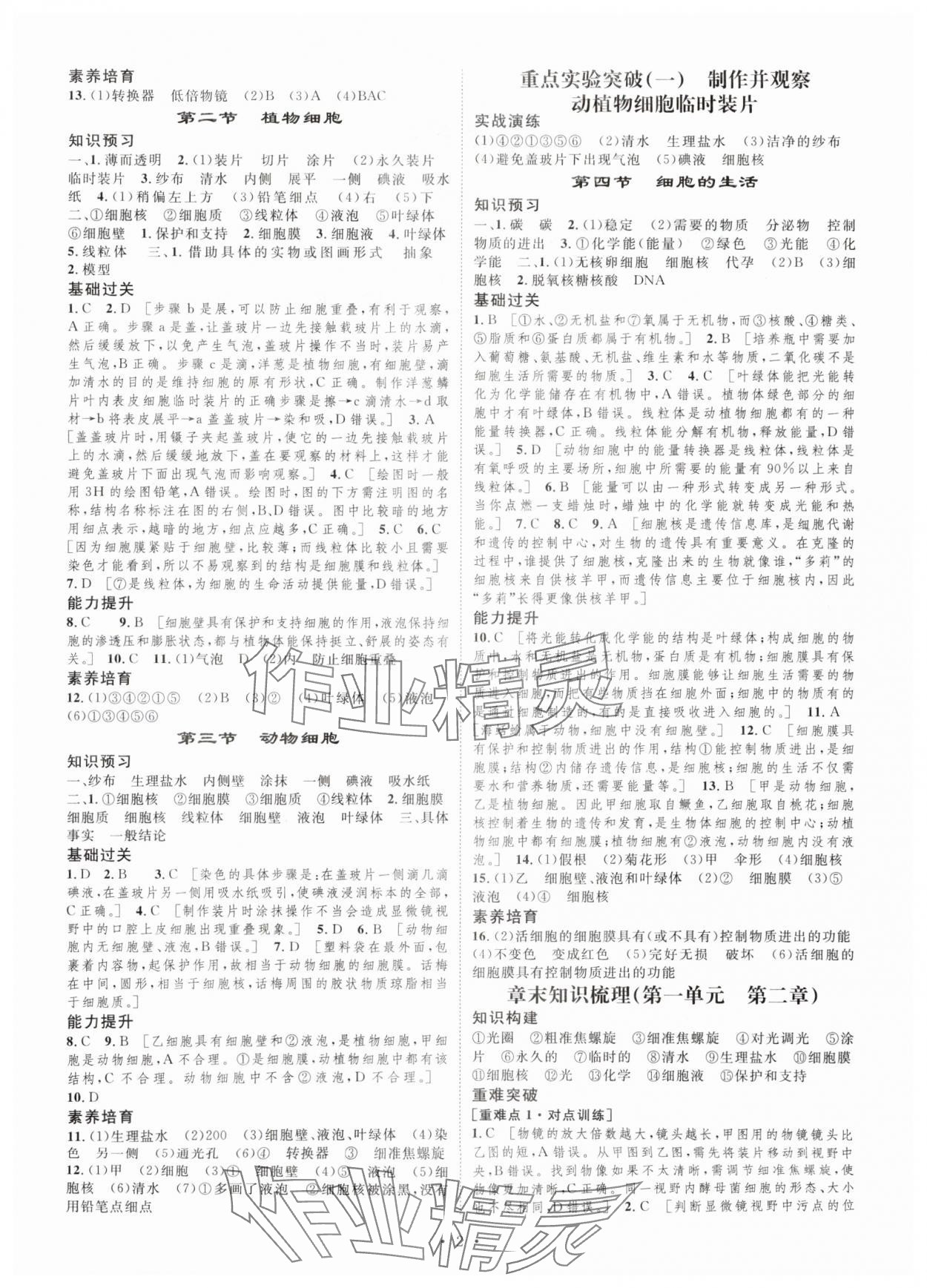 2025年思路教练同步课时作业七年级生物上册人教版 第2页