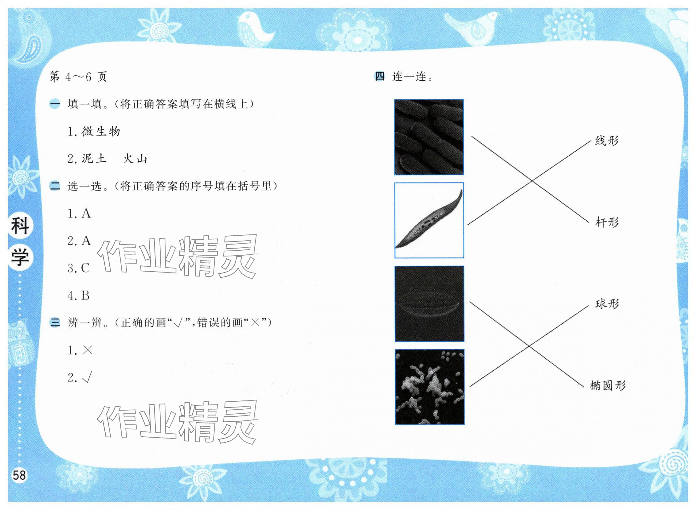 2025年暑假作業(yè)五年級(jí)科學(xué)蘇教版安徽少年兒童出版社 第2頁