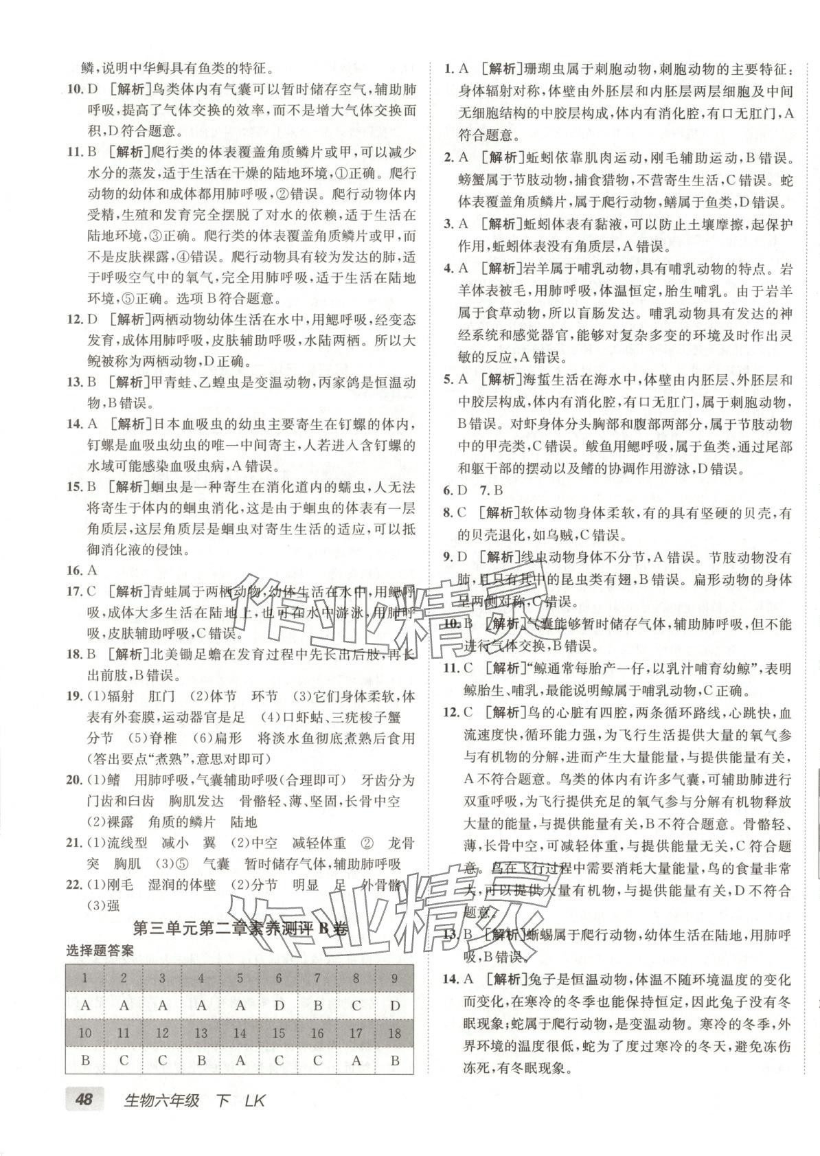2025年海淀單元測試AB卷六年級生物下冊魯科版 第3頁