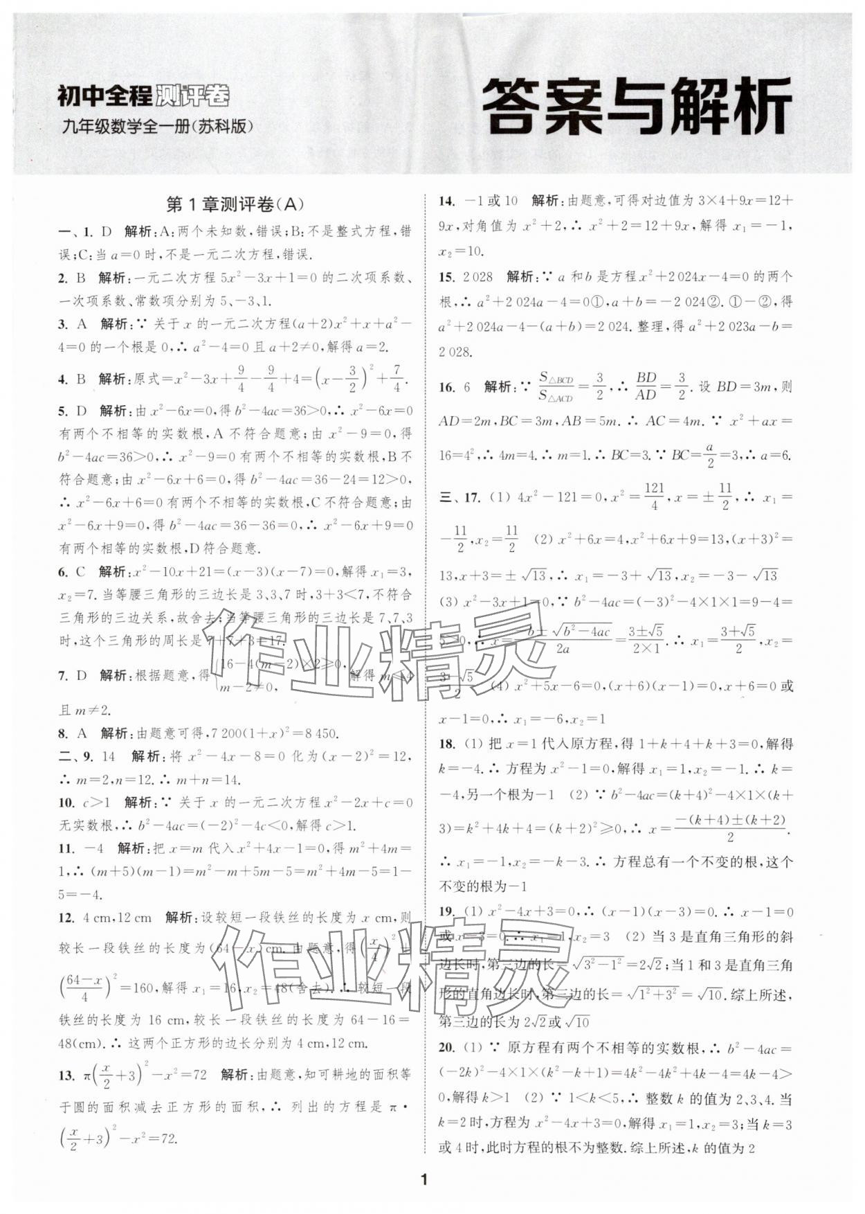2025年通城学典全程测评卷九年级数学全一册苏科版 第1页