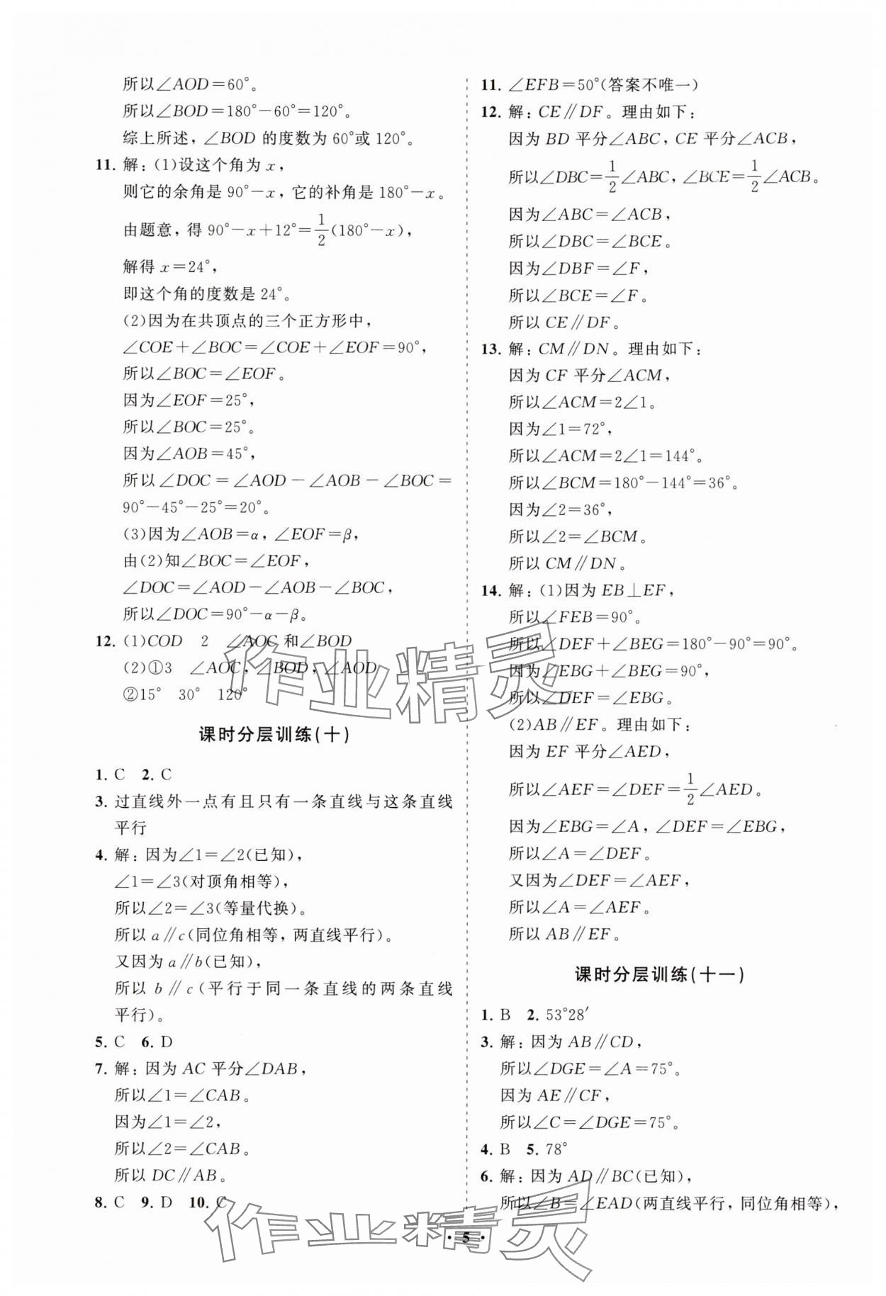 2025年同步練習(xí)冊分層卷六年級數(shù)學(xué)下冊魯教版54制 參考答案第5頁