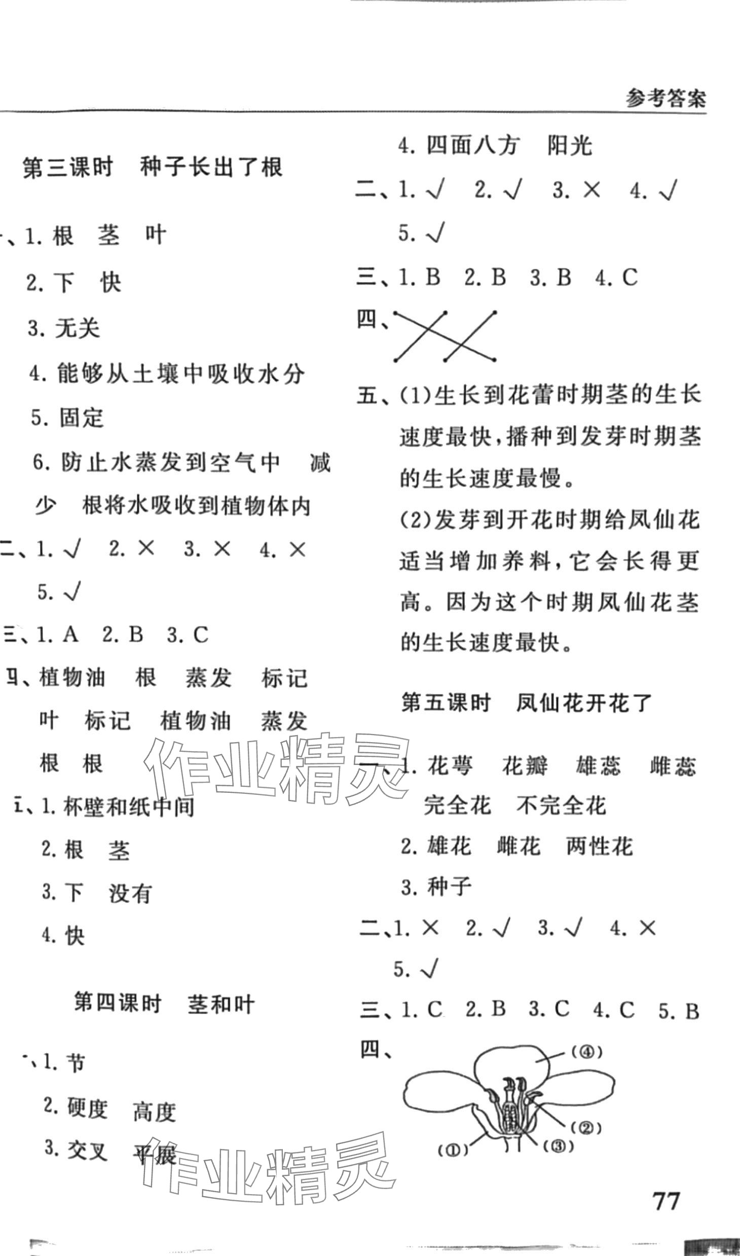 2024年同步練習冊山東友誼出版社四年級科學下冊教科版 第2頁