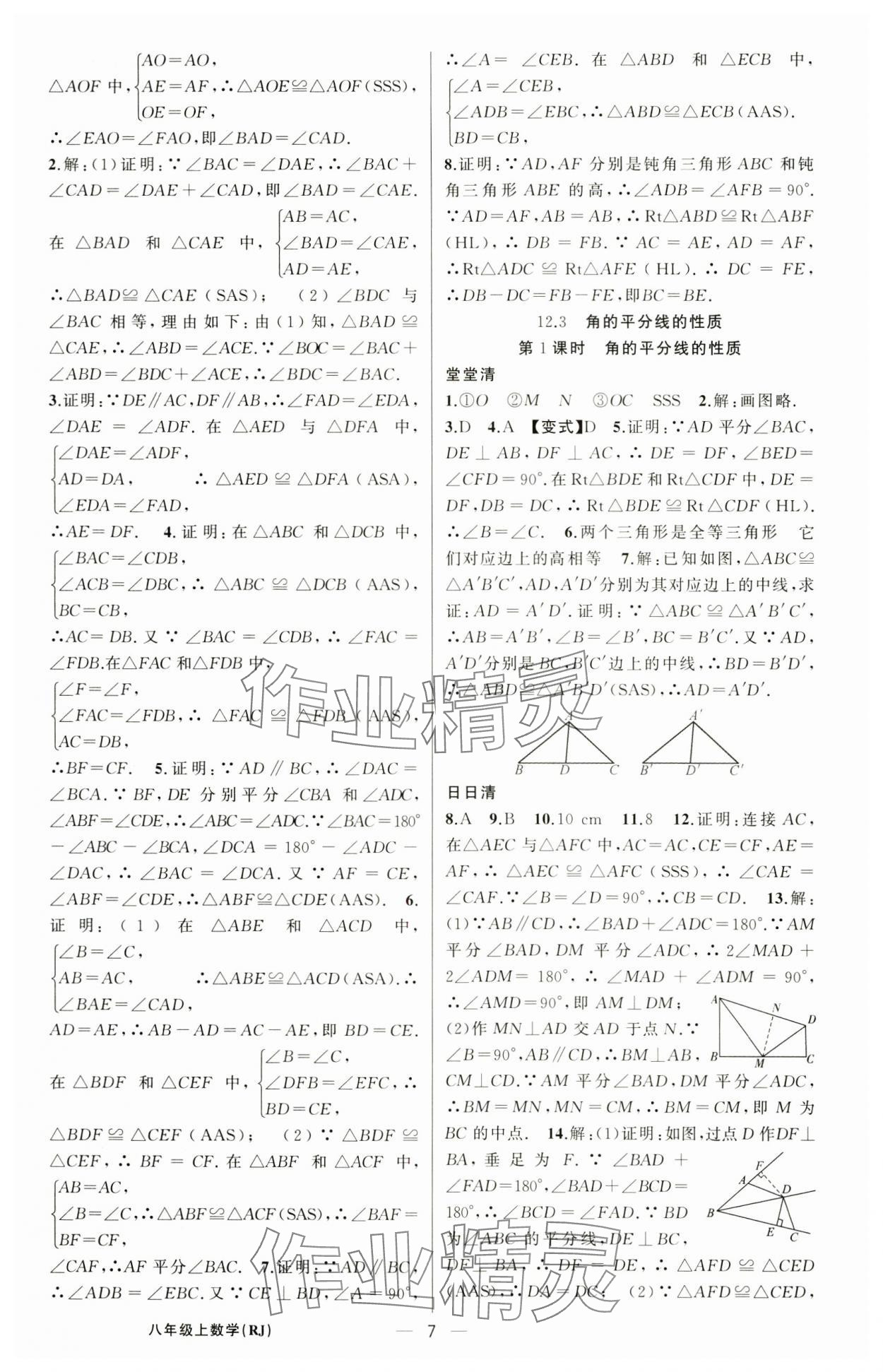 2024年四清導航八年級數(shù)學上冊人教版河南專版 第7頁