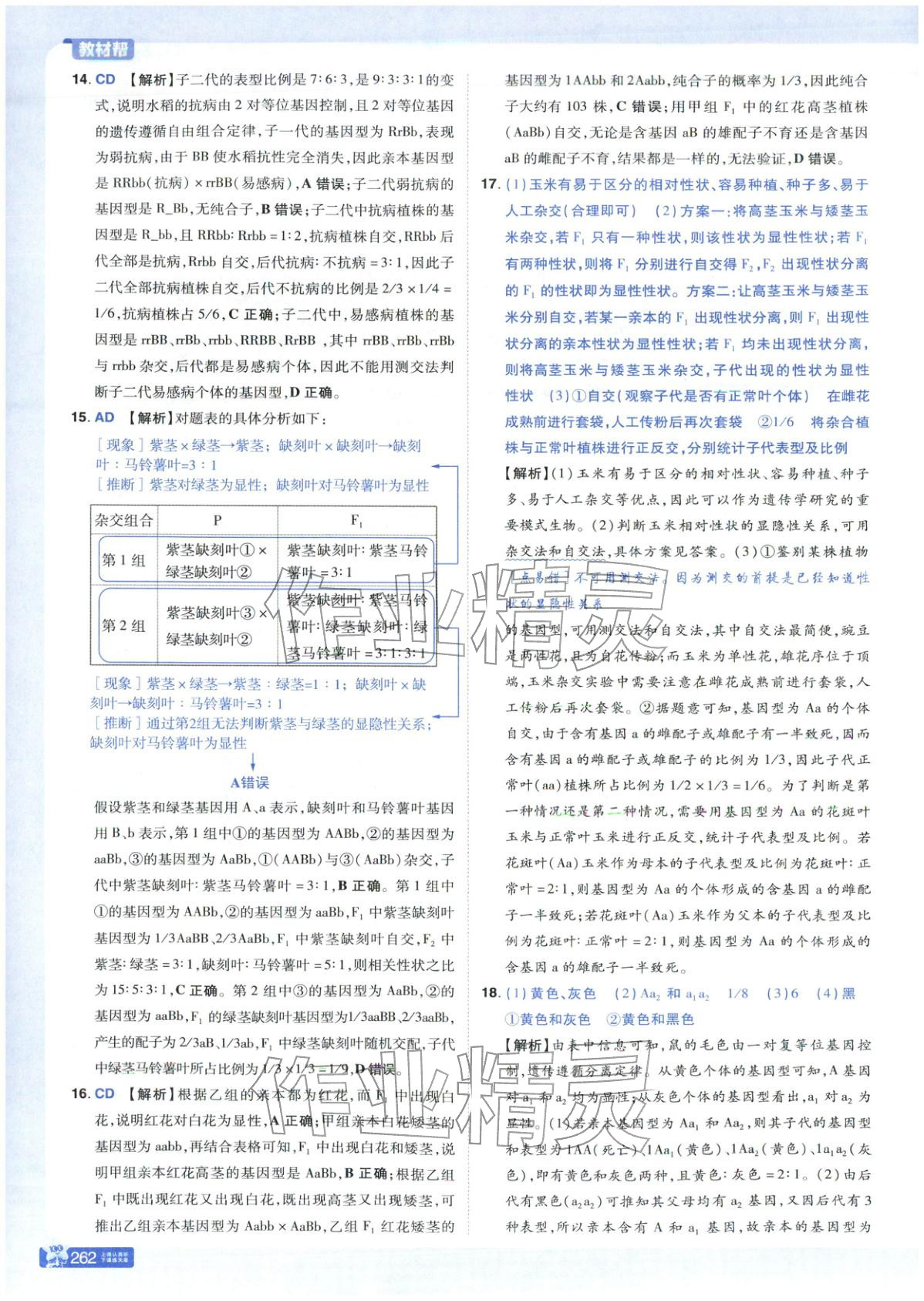 2025年教材幫高中生物必修第二冊人教版 第10頁