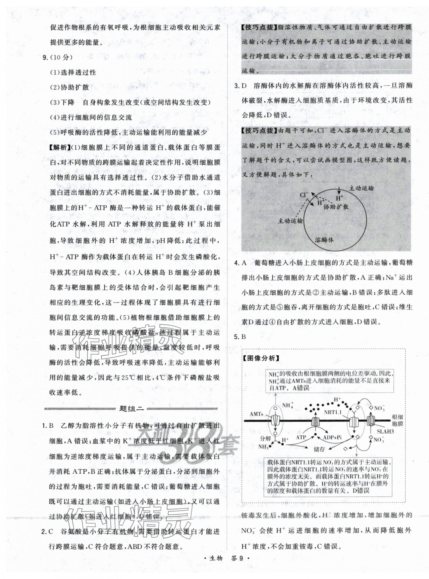 2025年五年高考真題分類(lèi)高中生物 第11頁(yè)