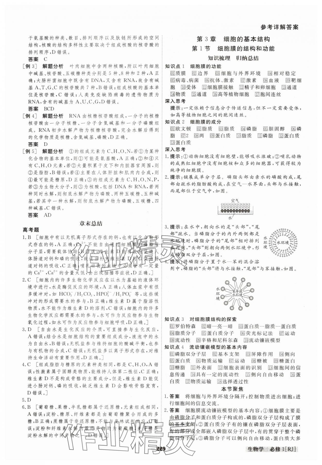 2023年金版教程高中新課程創(chuàng)新導(dǎo)學(xué)案高中生物必修1人教版 參考答案第6頁