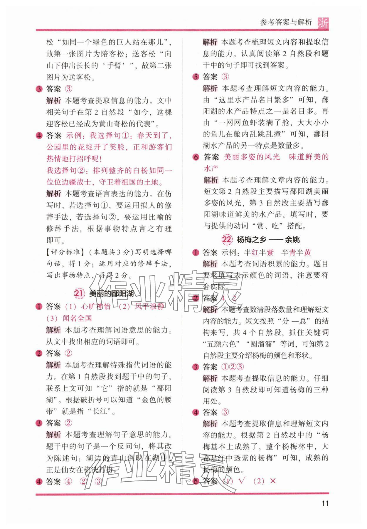 2024年木頭馬閱讀力測評二年級語文上冊人教版浙江專版 參考答案第11頁