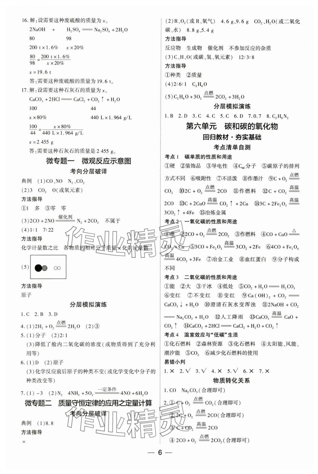 2024年中考通化学中考河南专版 参考答案第6页