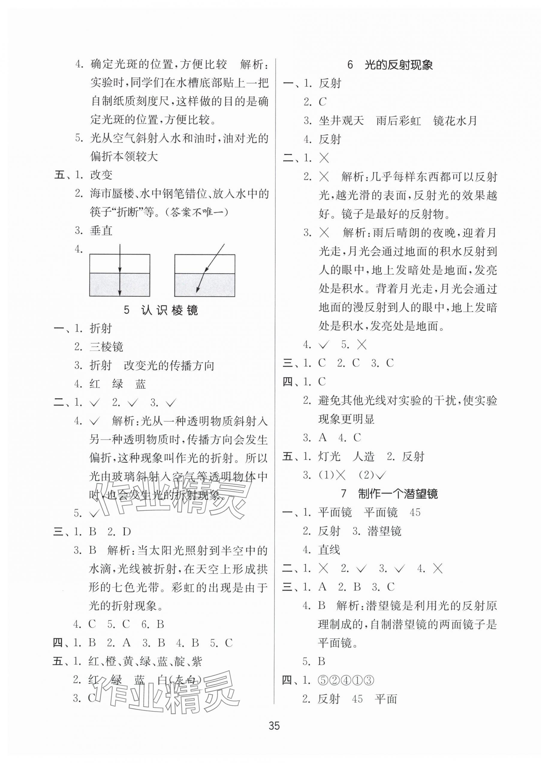 2025年课时训练江苏凤凰科学技术出版社五年级上册教科版 参考答案第3页