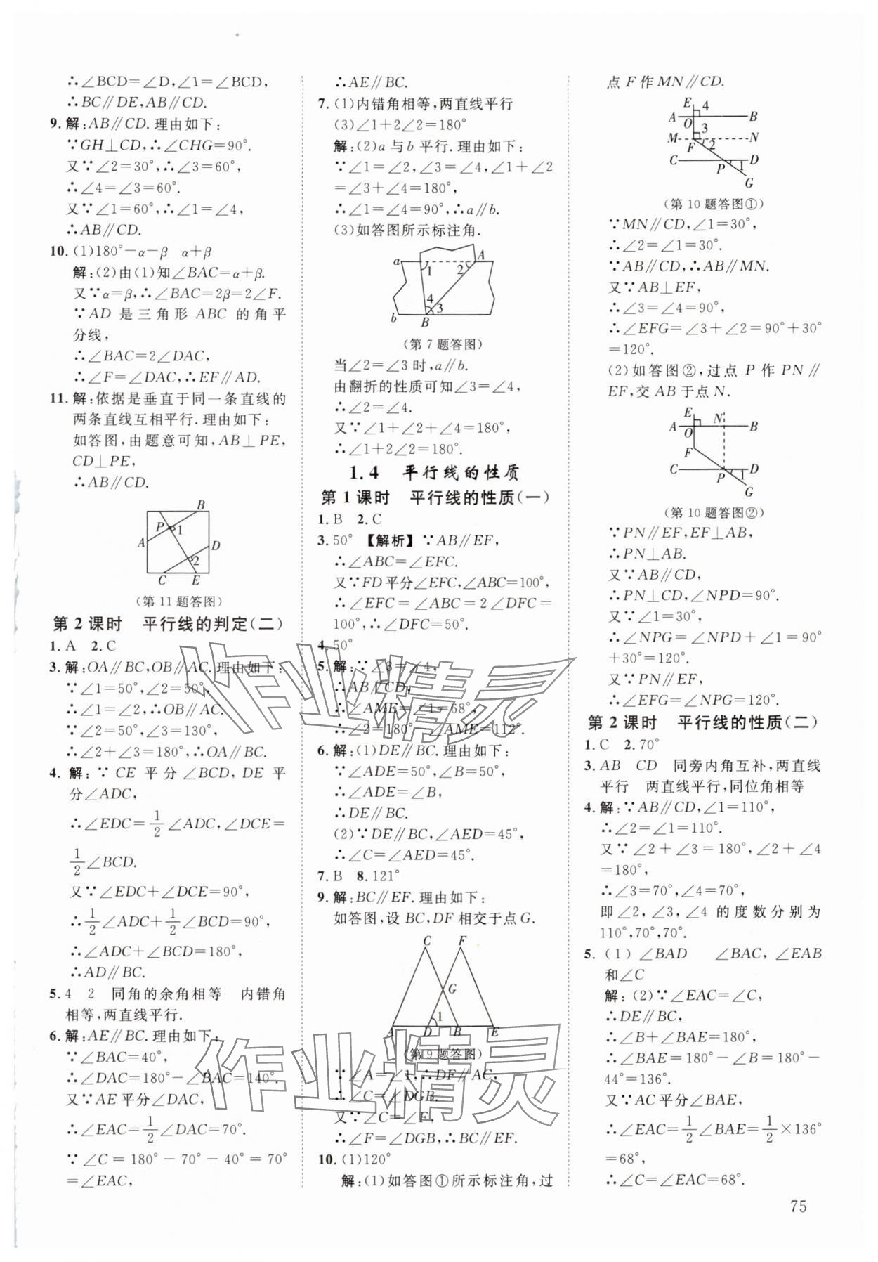 2024年全效学习阶段发展评价七年级数学下册浙教版 参考答案第2页